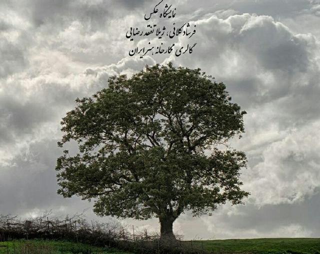 «ایران ما» از نگاه یک زوج عکاس «ایران ما» از نگاه یک زوج عکاس