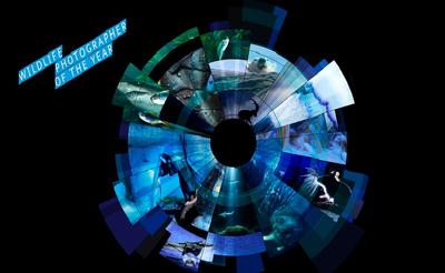 فراخوان مسابقه عکاسی لندن فراخوان مسابقه عکاسی لندن