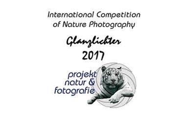 مسابقه بینالمللی عکاسی طبیعت آلمان مسابقه بینالمللی عکاسی طبیعت آلمان