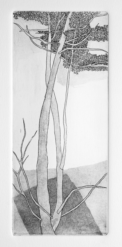 Artwork Garden of Silence 5 by Shokoufeh Fallah Artwork Garden of Silence 5 by Shokoufeh Fallah