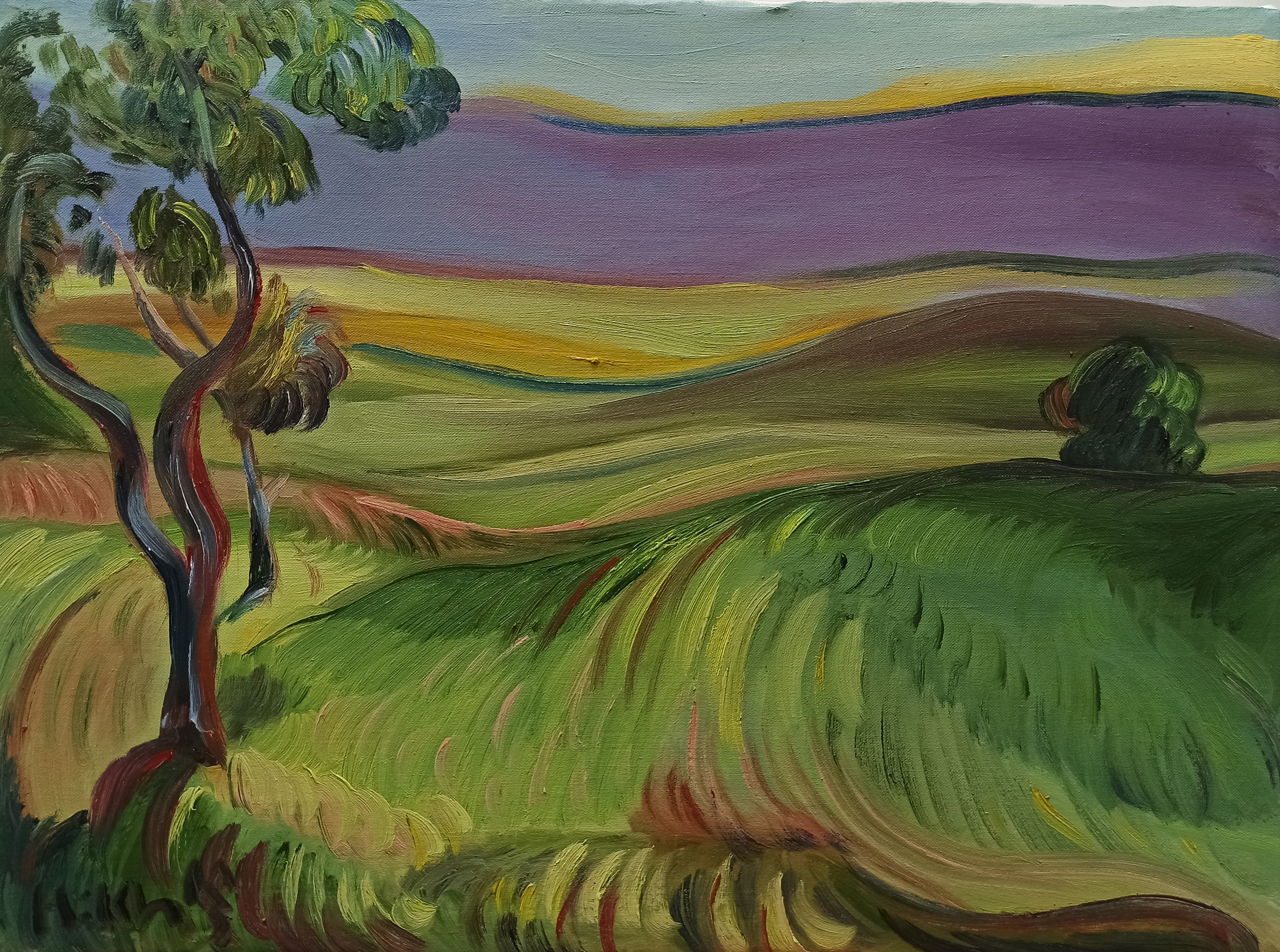 اثر چشم انداز از هادی خانی اثر چشم انداز از هادی خانی