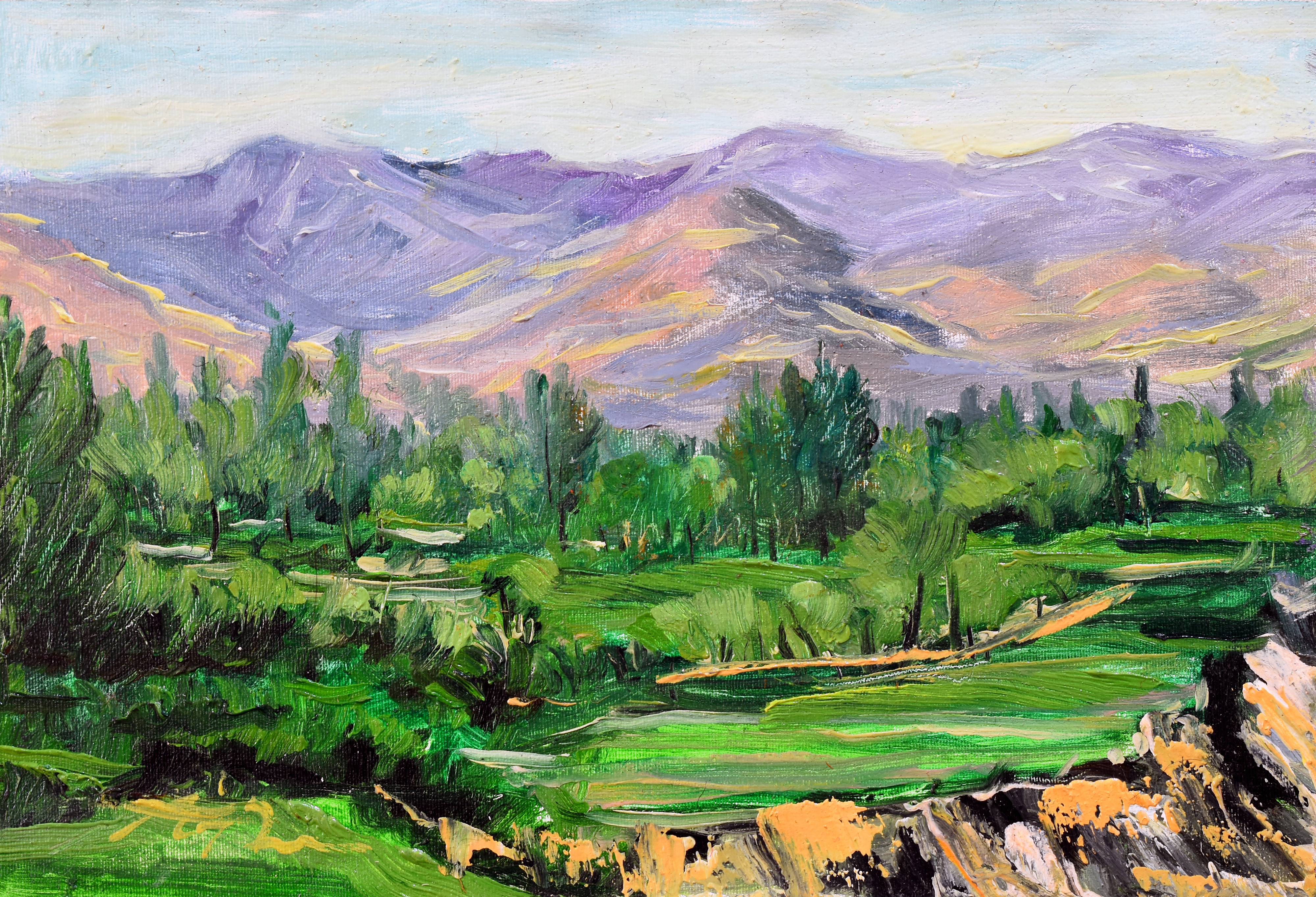 اثر باغات زنگیلاوا از اسلام علی پور اثر باغات زنگیلاوا از اسلام علی پور