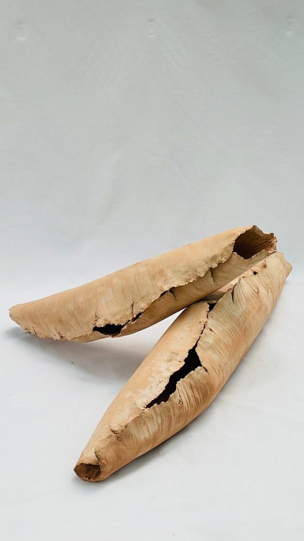 اثر امید از رضا دوست اثر امید از رضا دوست