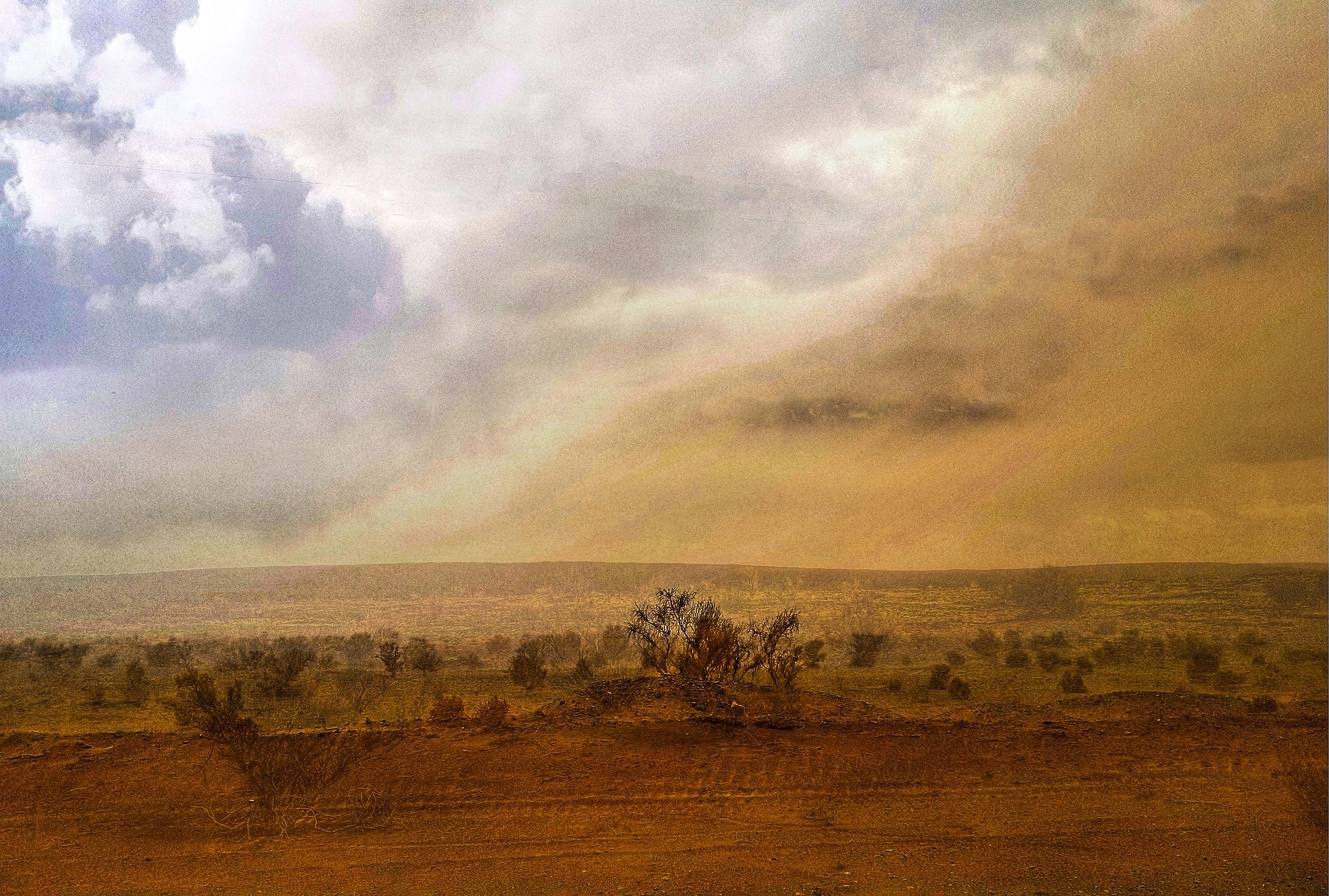 اثر طوفان کویر مرنجاب از فرهاد عزیزی اثر طوفان کویر مرنجاب از فرهاد عزیزی