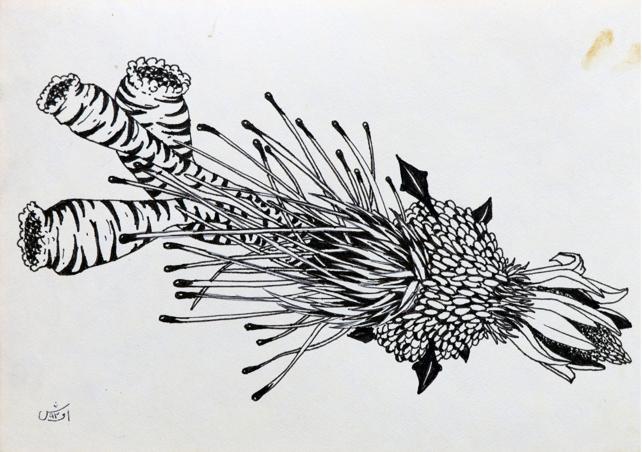 اثر بدون عنوان از افشین باقری اثر بدون عنوان از افشین باقری
