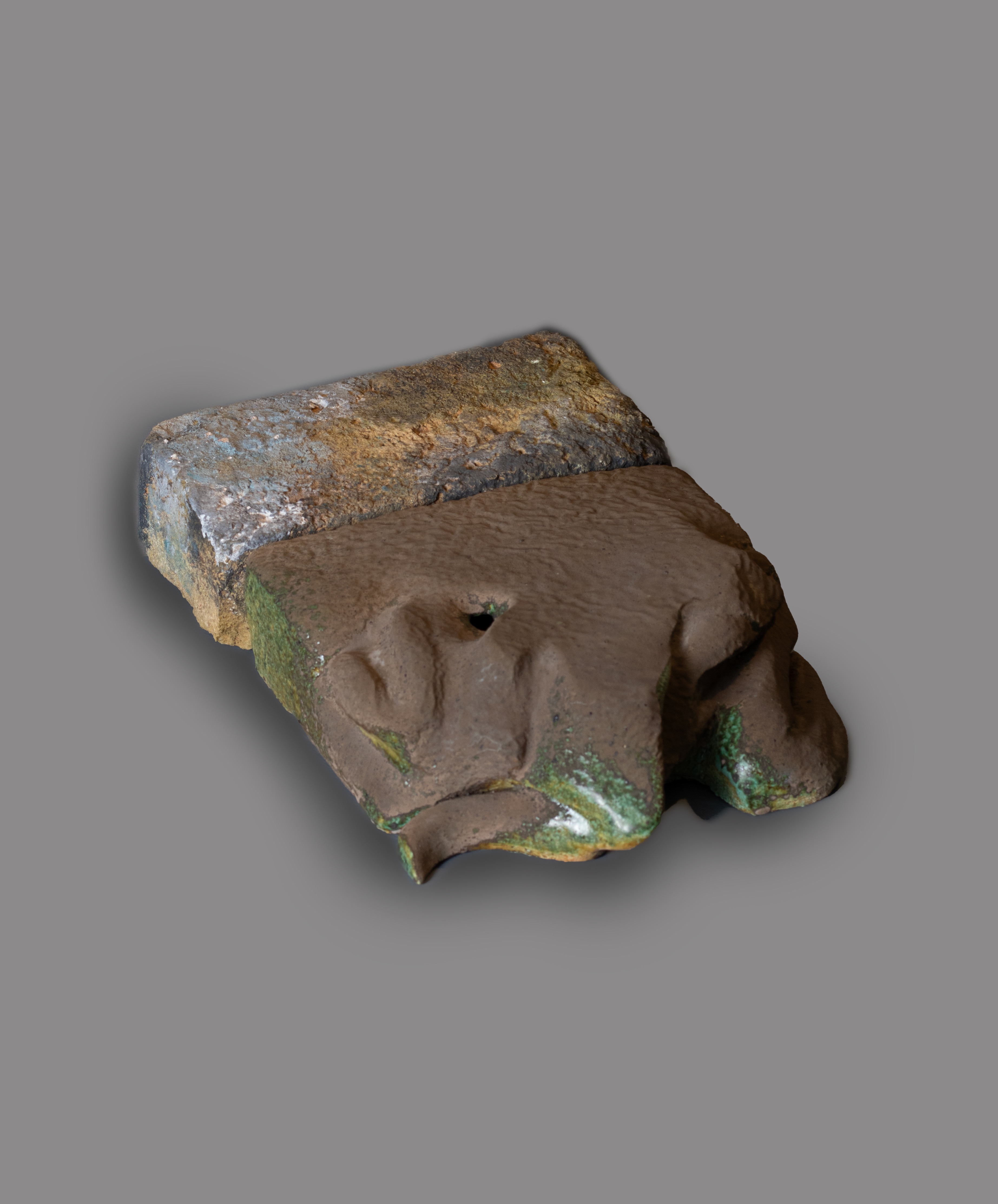 اثر همزیستی از نسرین اسمی اثر همزیستی از نسرین اسمی