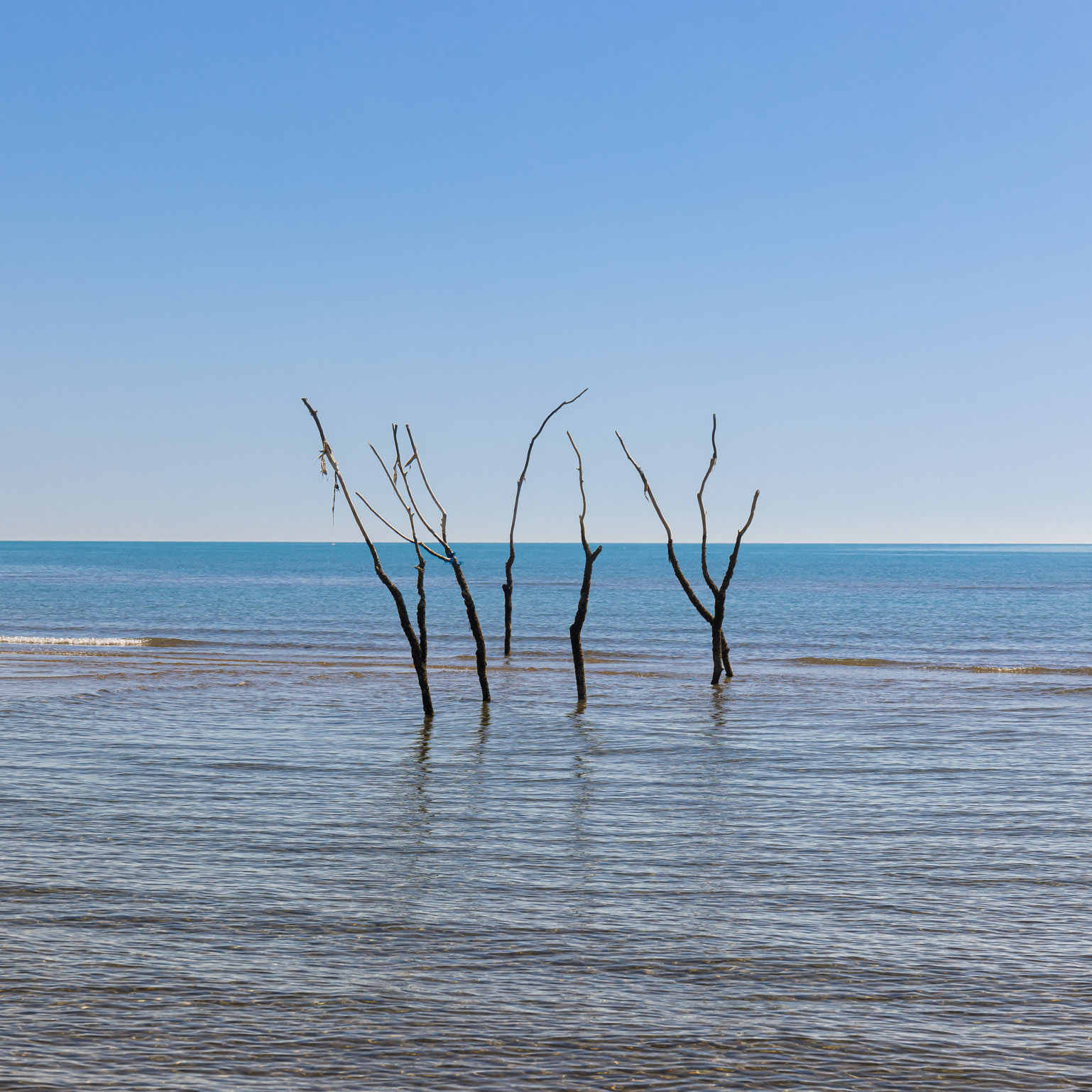 Artwork 5 calm by Majid Hojati - Maho Artwork 5 calm by Majid Hojati - Maho