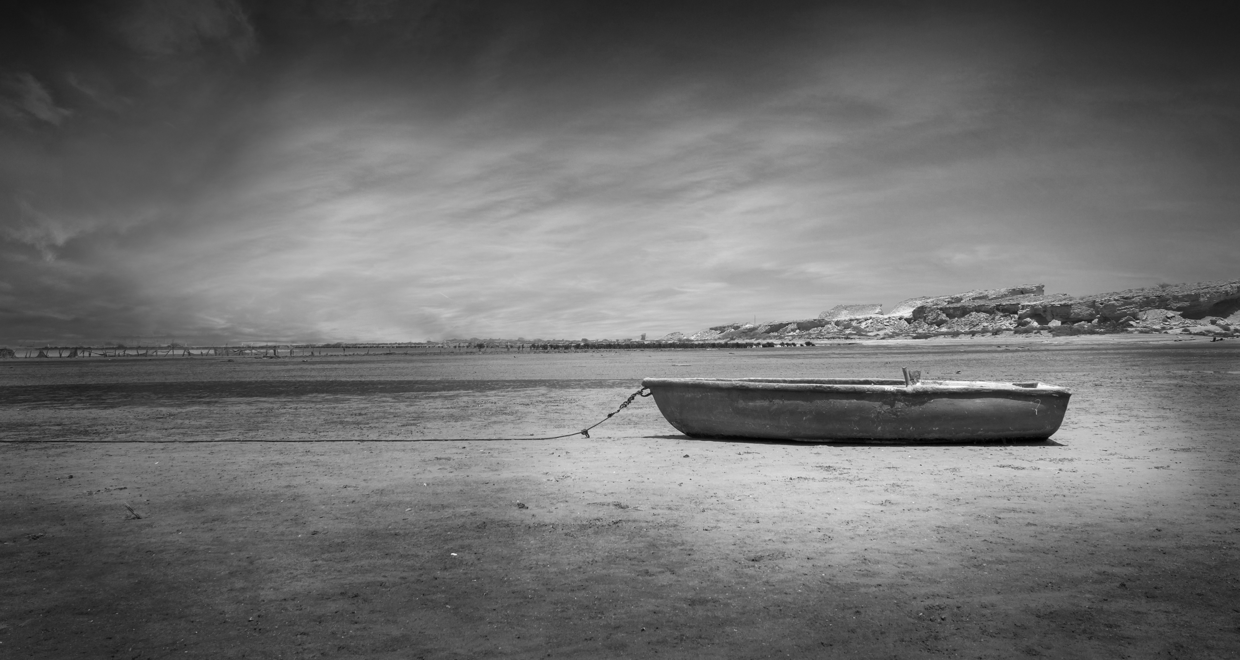 Artwork torpid by Shahram Jahansooz Artwork torpid by Shahram Jahansooz