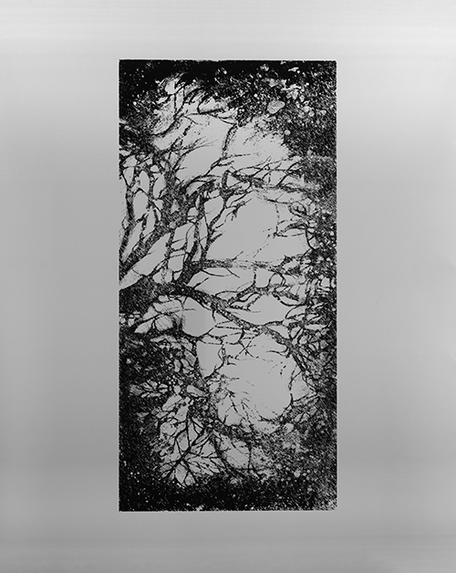 Artwork Untitled by Fatemeh Eslamian Artwork Untitled by Fatemeh Eslamian