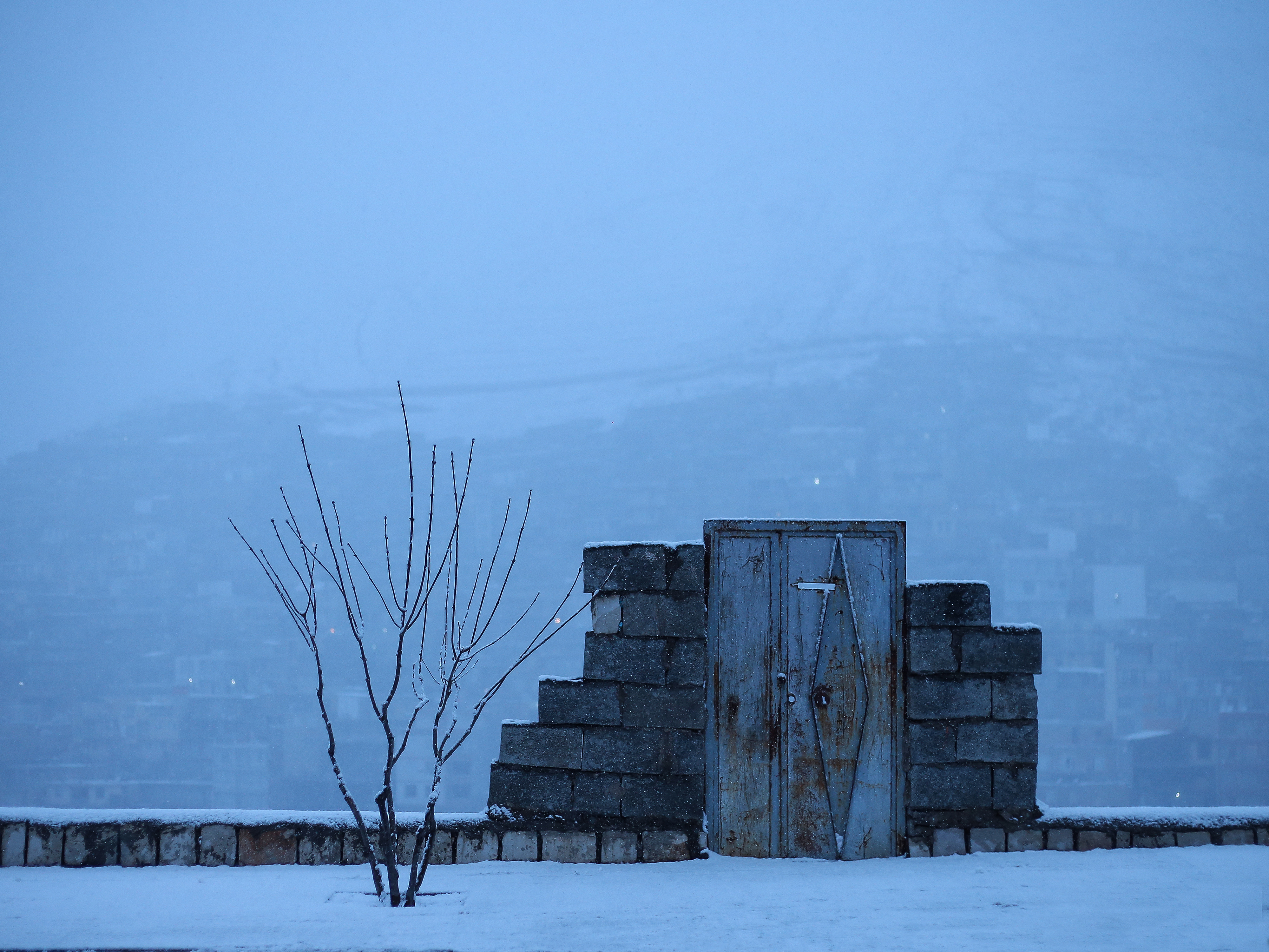 اثر در از پژمان شجاعی اثر در از پژمان شجاعی