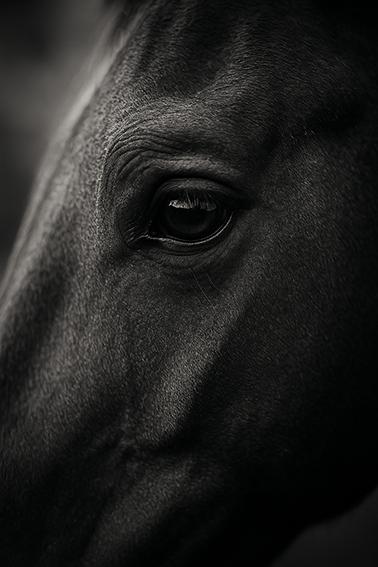 Artwork Untitled by Nadiya Abdollahi Artwork Untitled by Nadiya Abdollahi