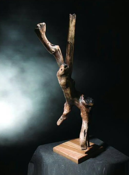 Artwork Untitled by Saeed Lazarjani Artwork Untitled by Saeed Lazarjani