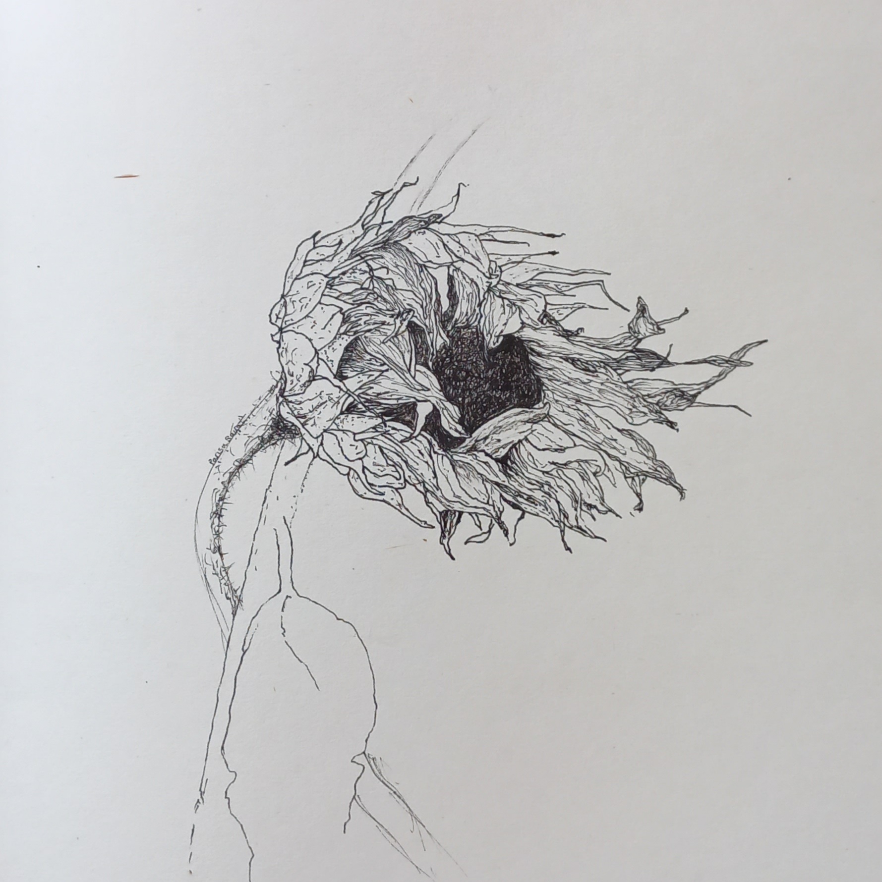 اثر شماره۲۳ از پریسا بیات اثر شماره۲۳ از پریسا بیات