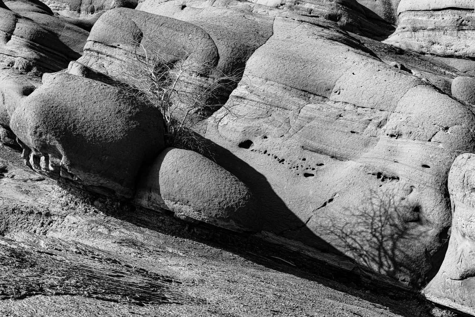 Artwork Coexistence of stones 01 by Majid Hojati - Maho Artwork Coexistence of stones 01 by Majid Hojati - Maho