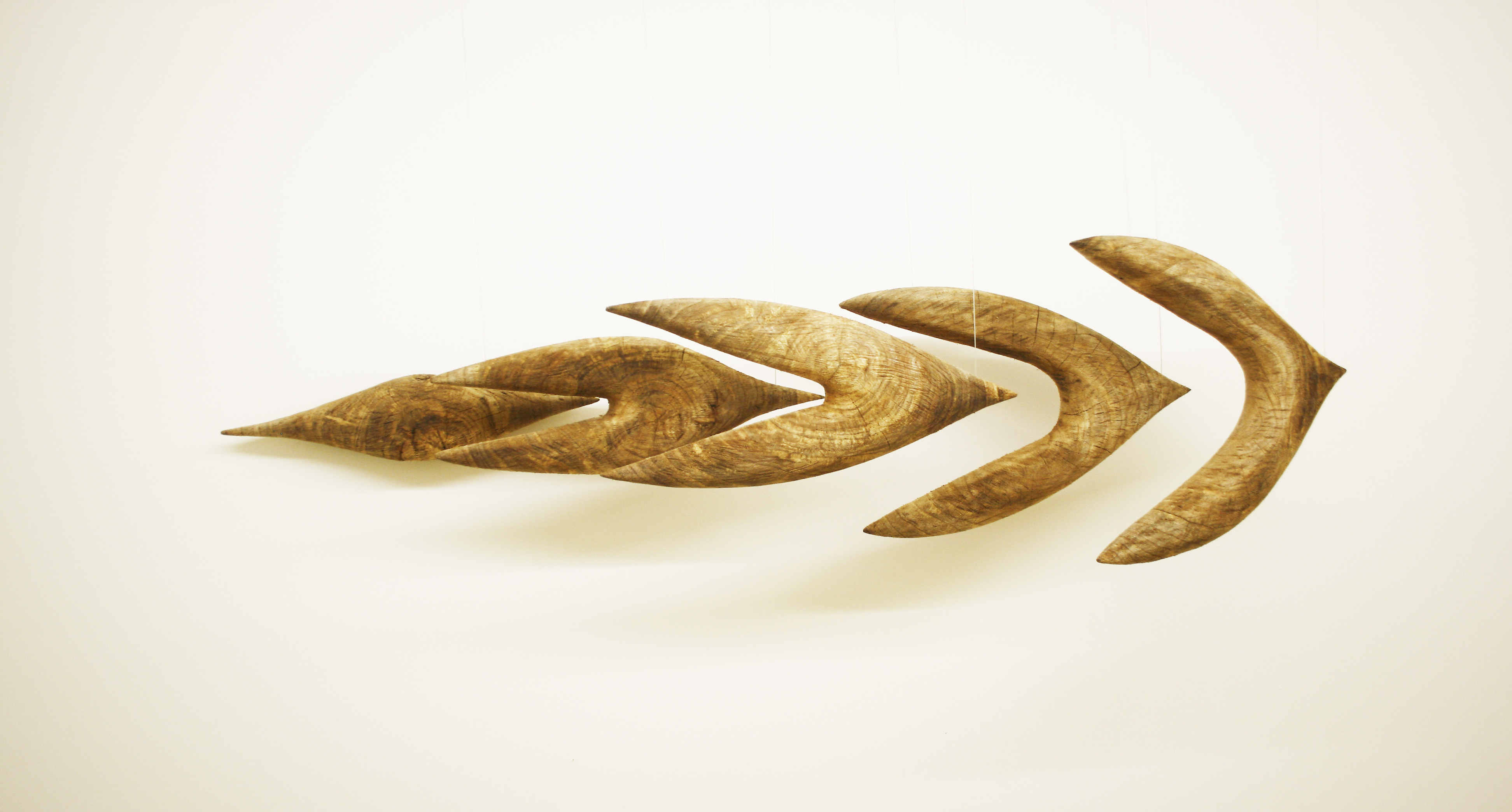 اثر جاذبه از بیژن اسدی اثر جاذبه از بیژن اسدی