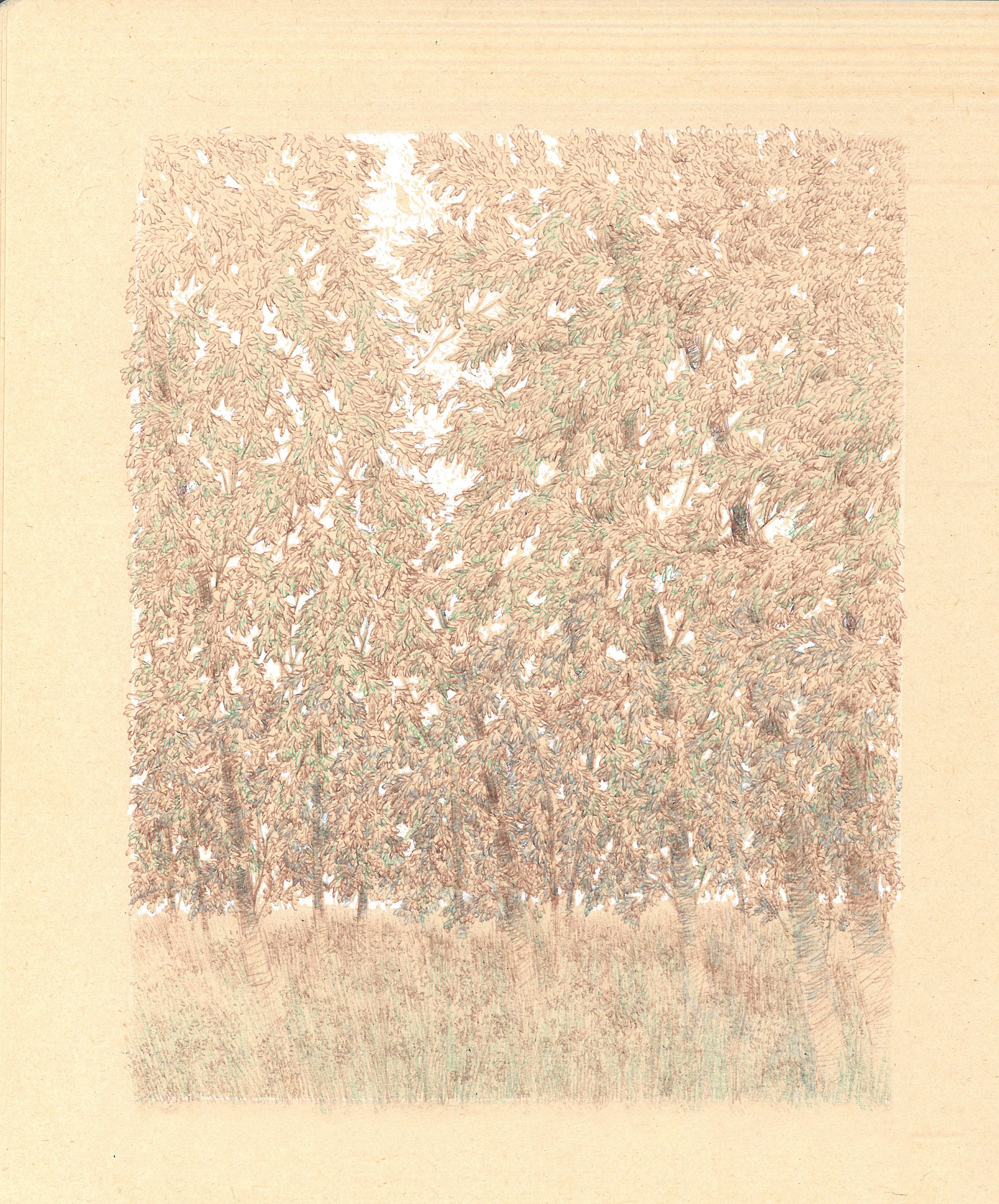 اثر بدون عنوان از مهسا عرب زاده اثر بدون عنوان از مهسا عرب زاده