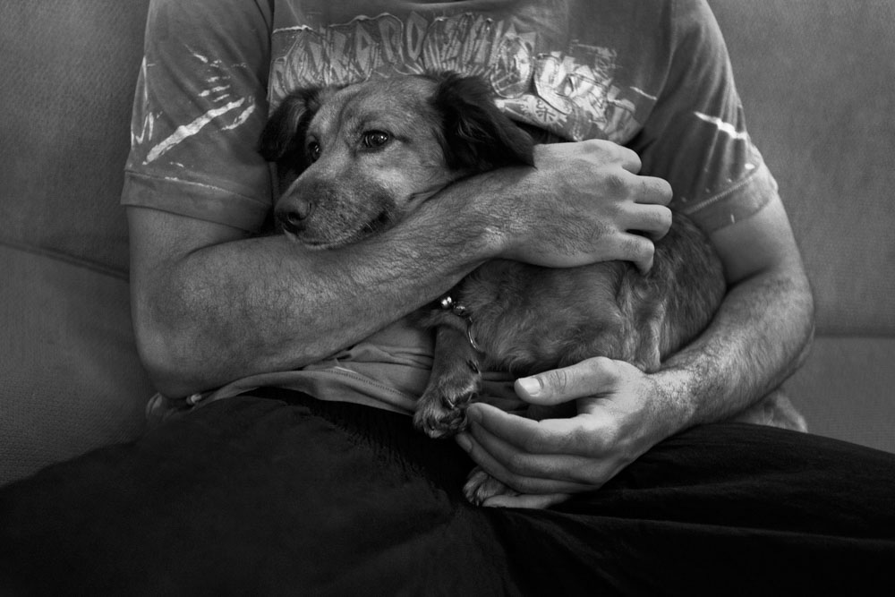 Artwork doggie life-3 by ali ranjbaran Artwork doggie life-3 by ali ranjbaran