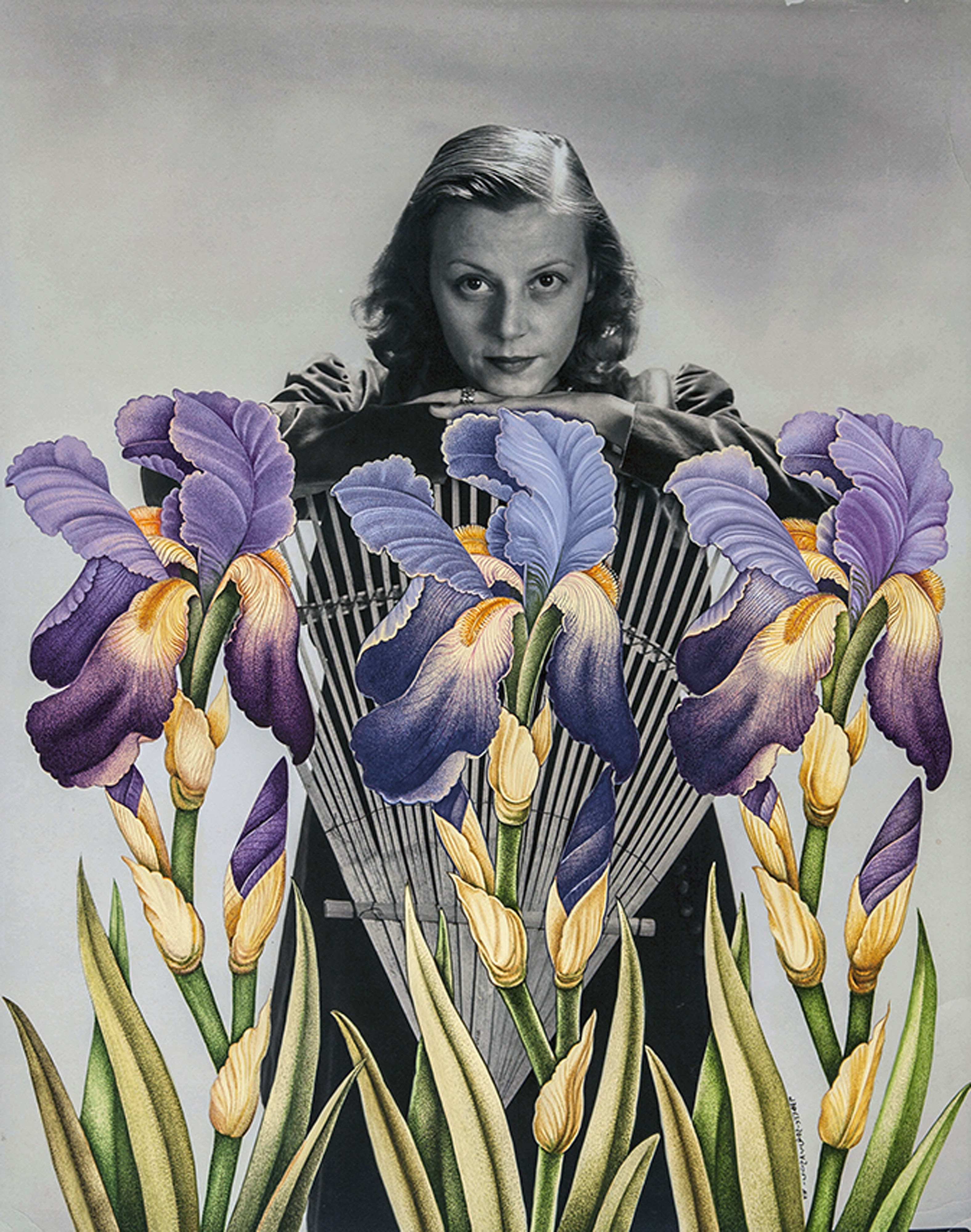 اثر گم شدگی از مهراد خوشبختی اثر گم شدگی از مهراد خوشبختی