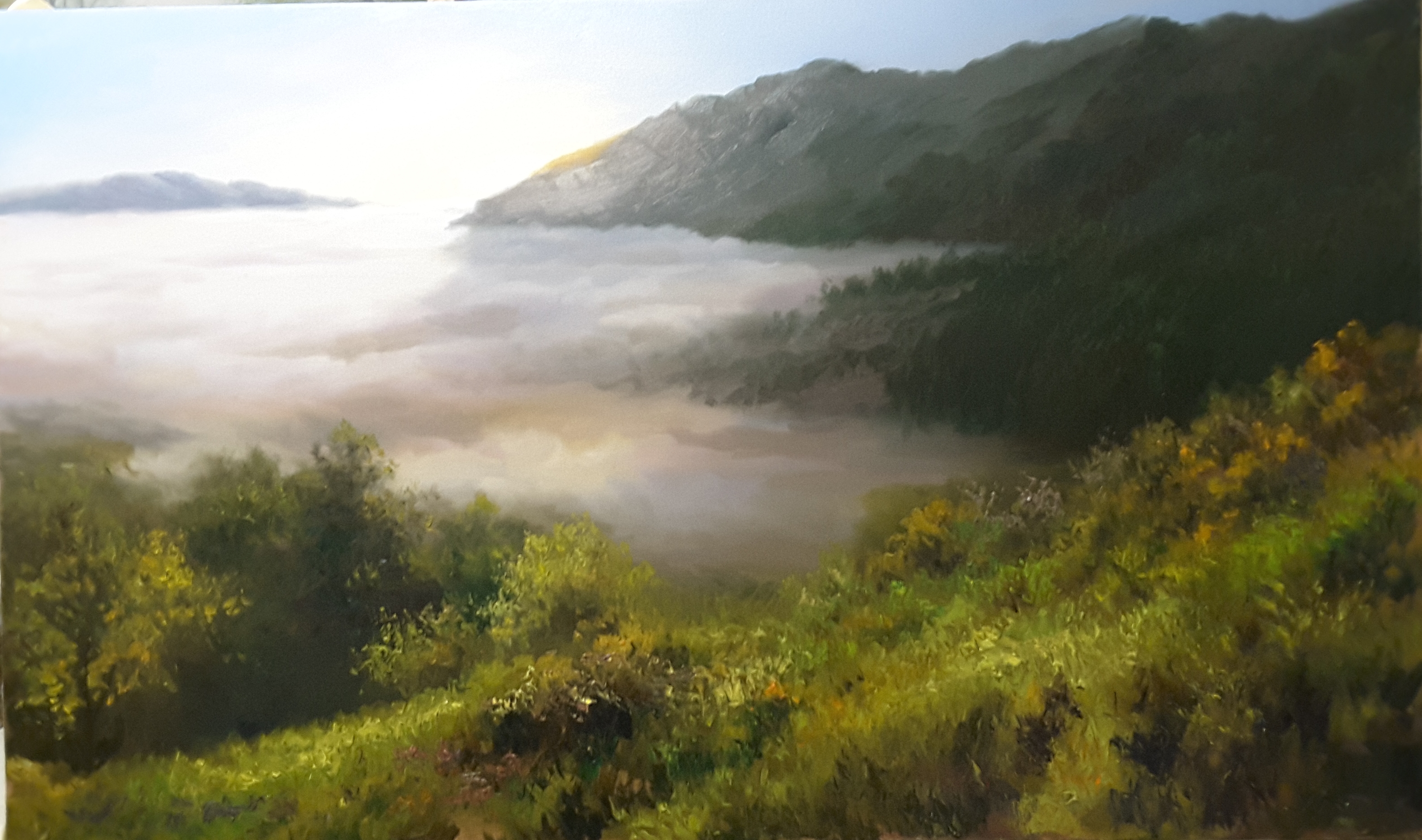 Artwork Fog on the hill by Faramarz Mokhtarpour Artwork Fog on the hill by Faramarz Mokhtarpour