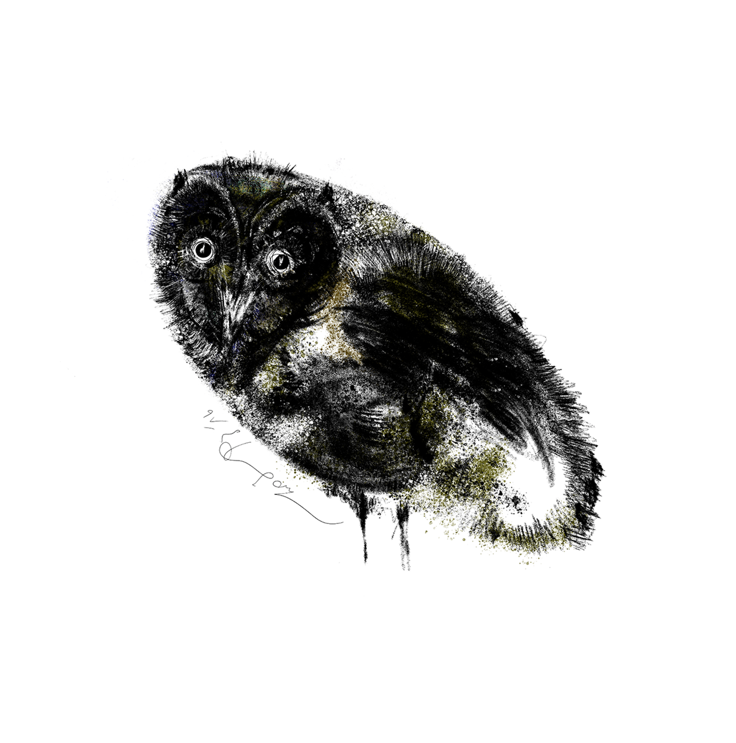 Artwork Owl Land 03 by Soheil Hosseini Artwork Owl Land 03 by Soheil Hosseini