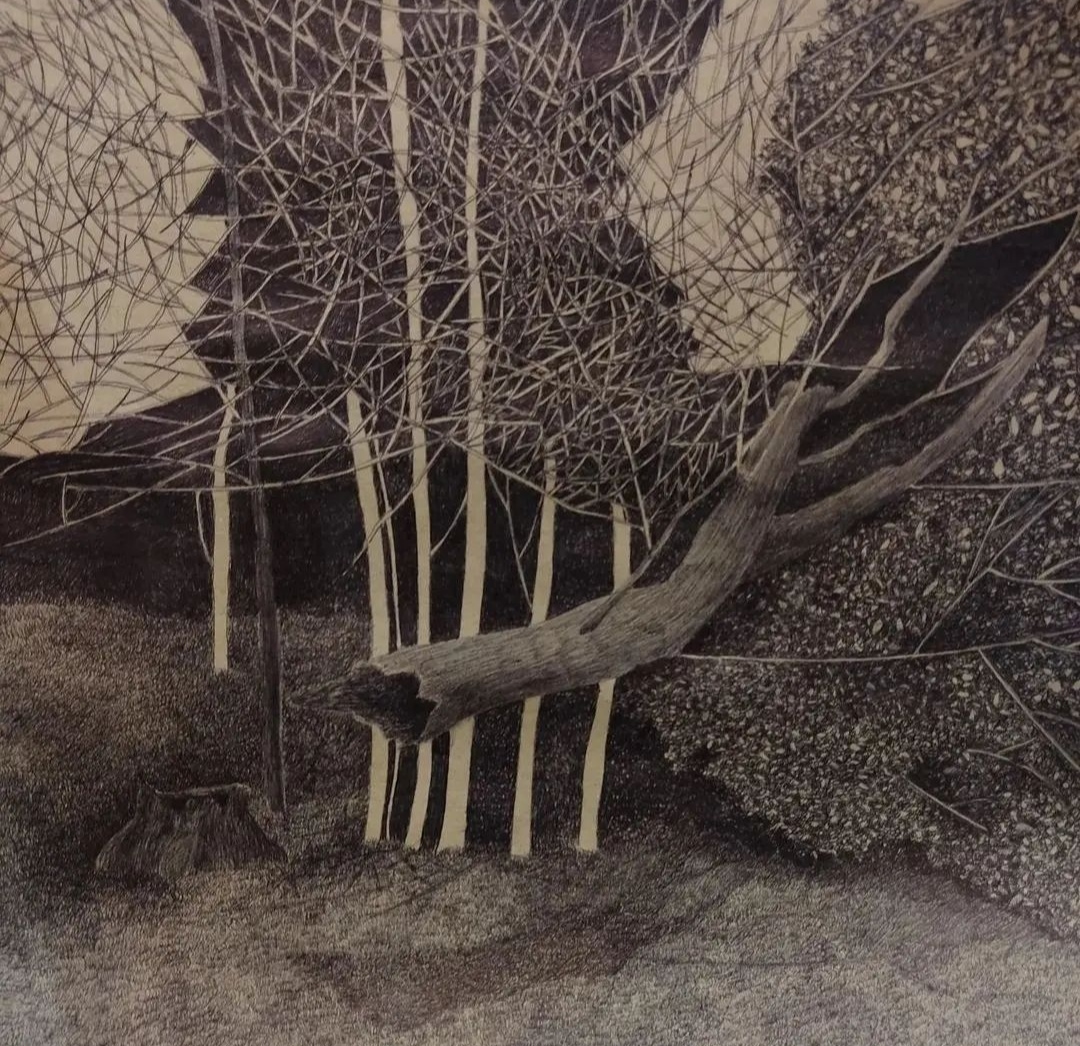 اثر کرم خراط 15 از زهرا حائری اثر کرم خراط 15 از زهرا حائری