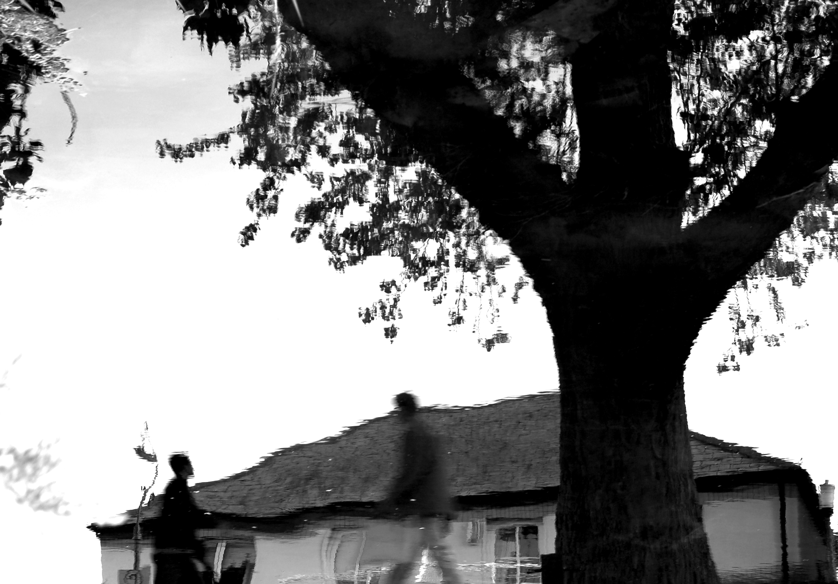 اثر رویاهای خیس - 8 از سام کلانتری اثر رویاهای خیس - 8 از سام کلانتری