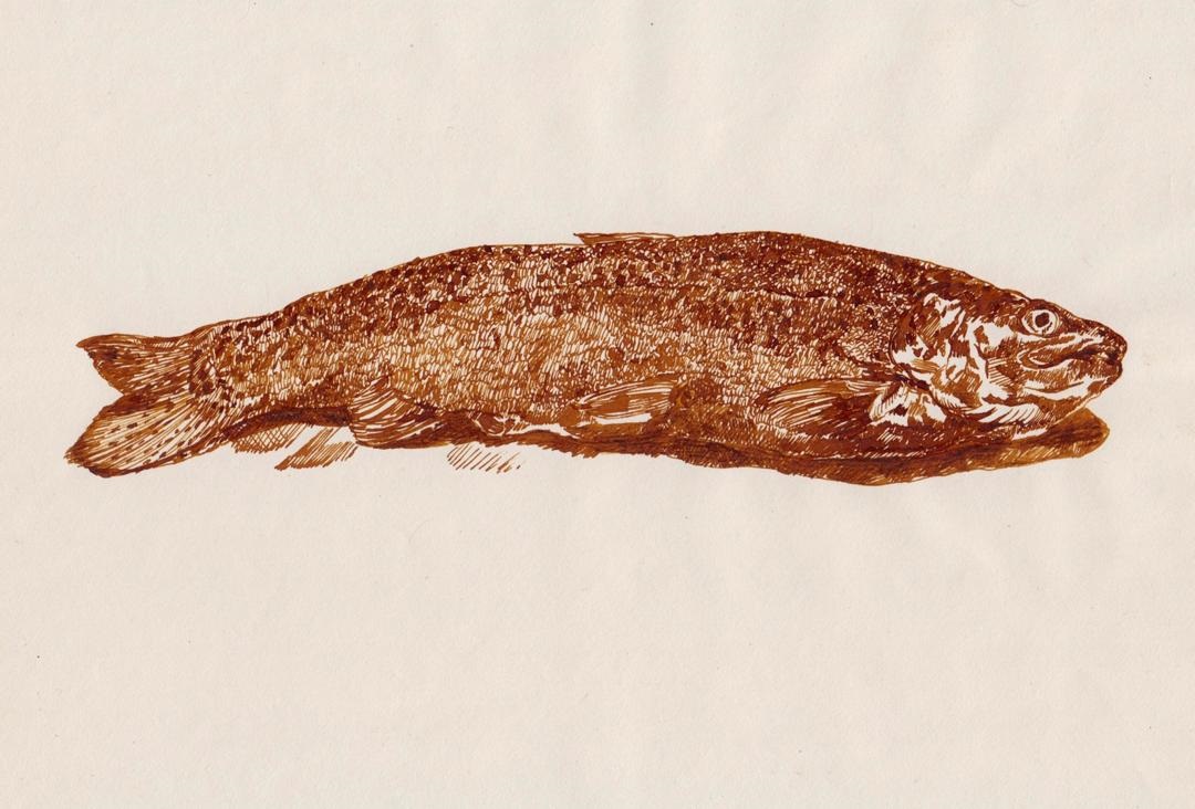 Artwork Untitled by Samaneh Motallebi Artwork Untitled by Samaneh Motallebi