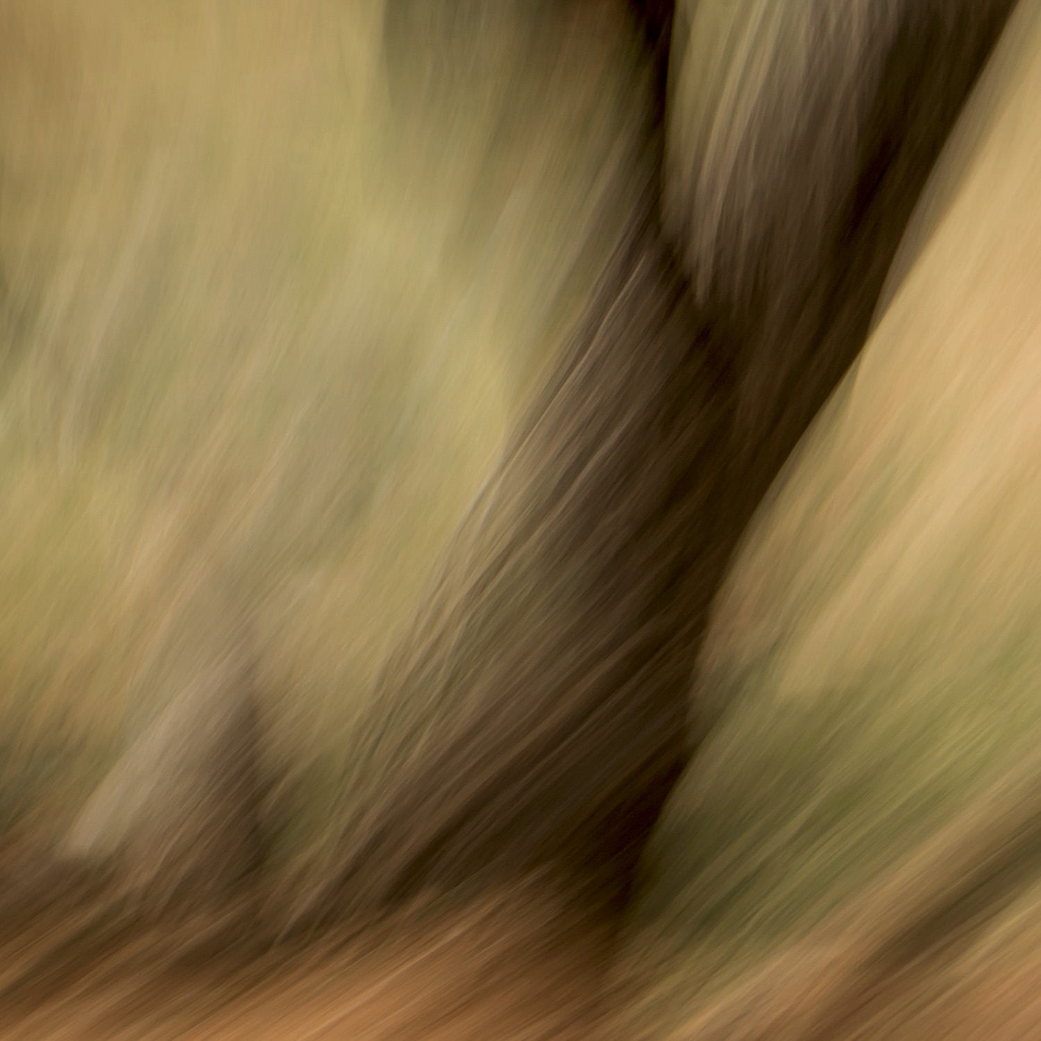 Artwork Feeling by Saeid Mahmoudi Aznaveh Artwork Feeling by Saeid Mahmoudi Aznaveh