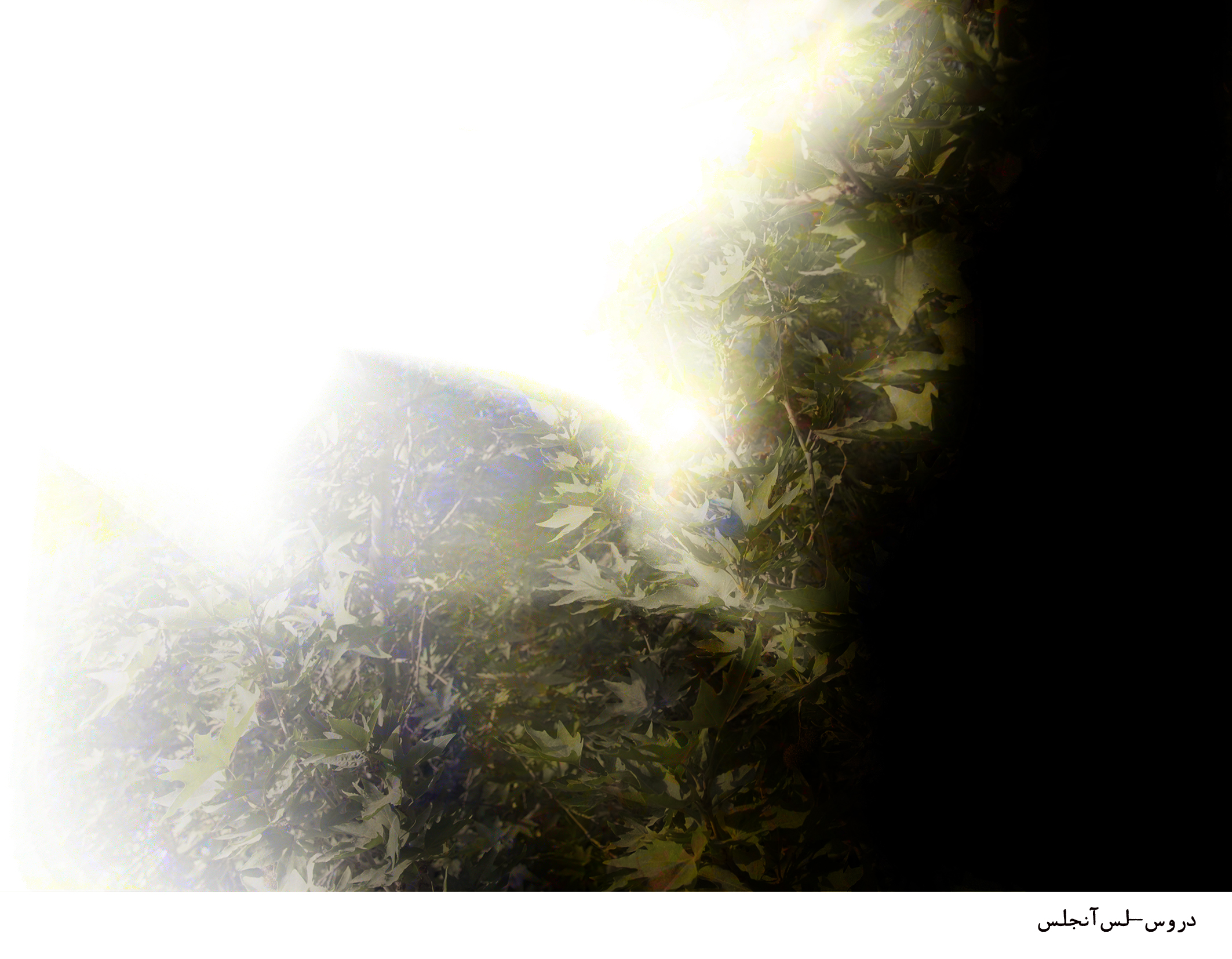 اثر دروس-لس آنجلس از کاترین نظری اثر دروس-لس آنجلس از کاترین نظری