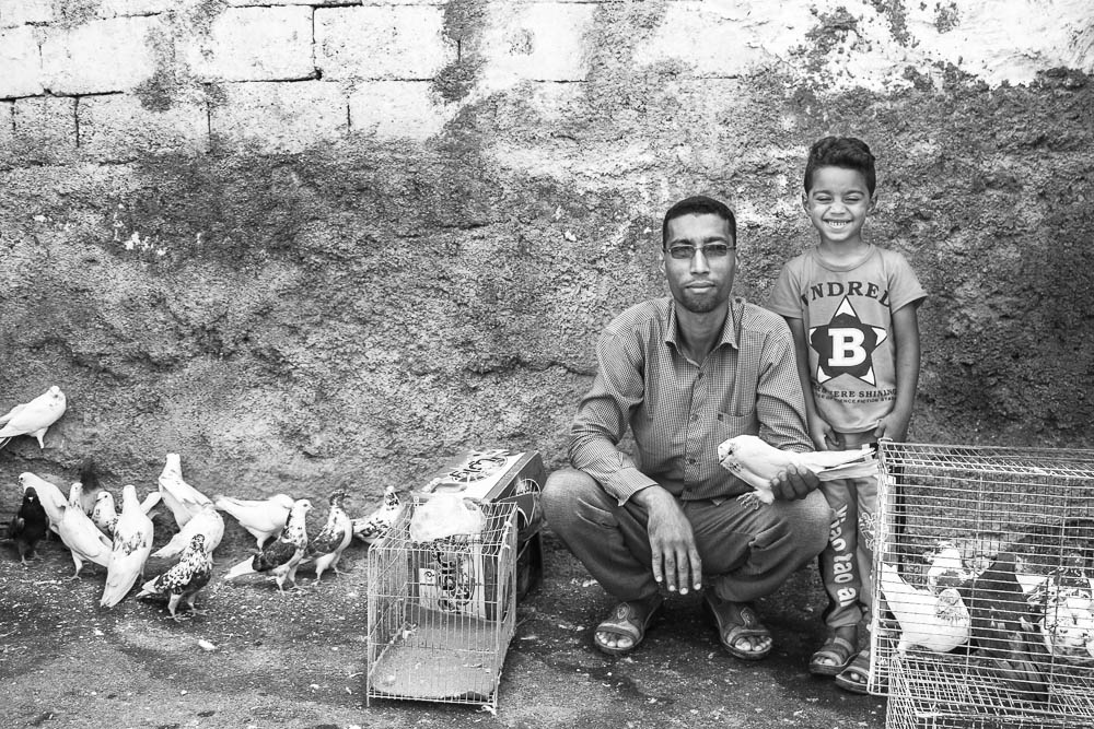 Artwork the cage 1 by shahrouz heidari Artwork the cage 1 by shahrouz heidari