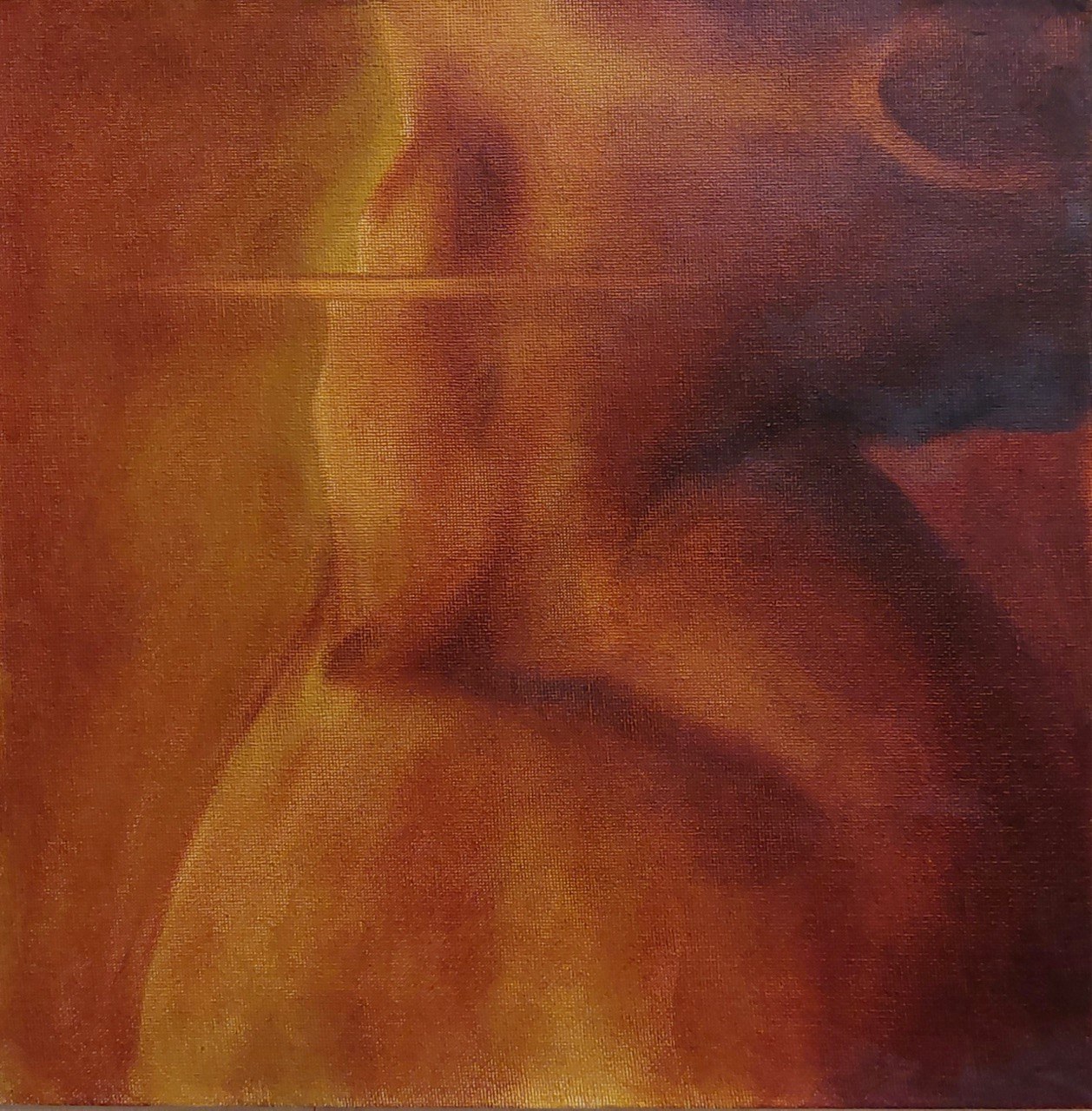 اثر بدون عنوان از امیر شلمانی اثر بدون عنوان از امیر شلمانی