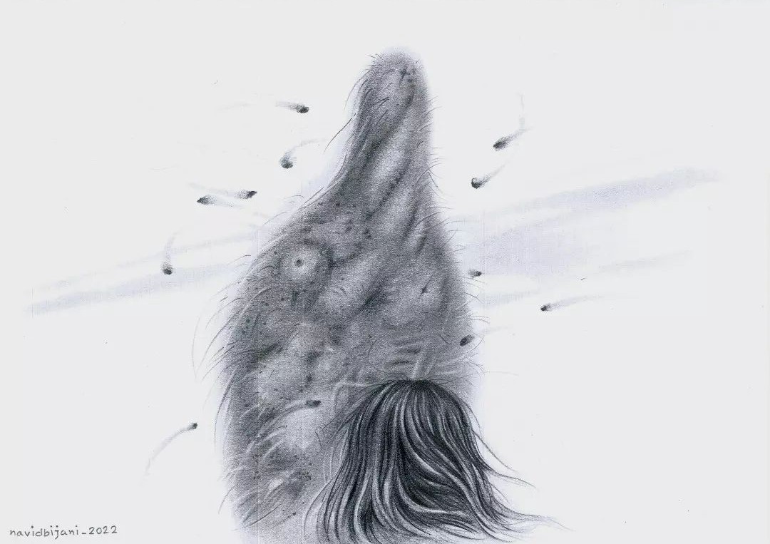 اثر مجموعه هیولای درون ۲ از نوید بیژنی اثر مجموعه هیولای درون ۲ از نوید بیژنی