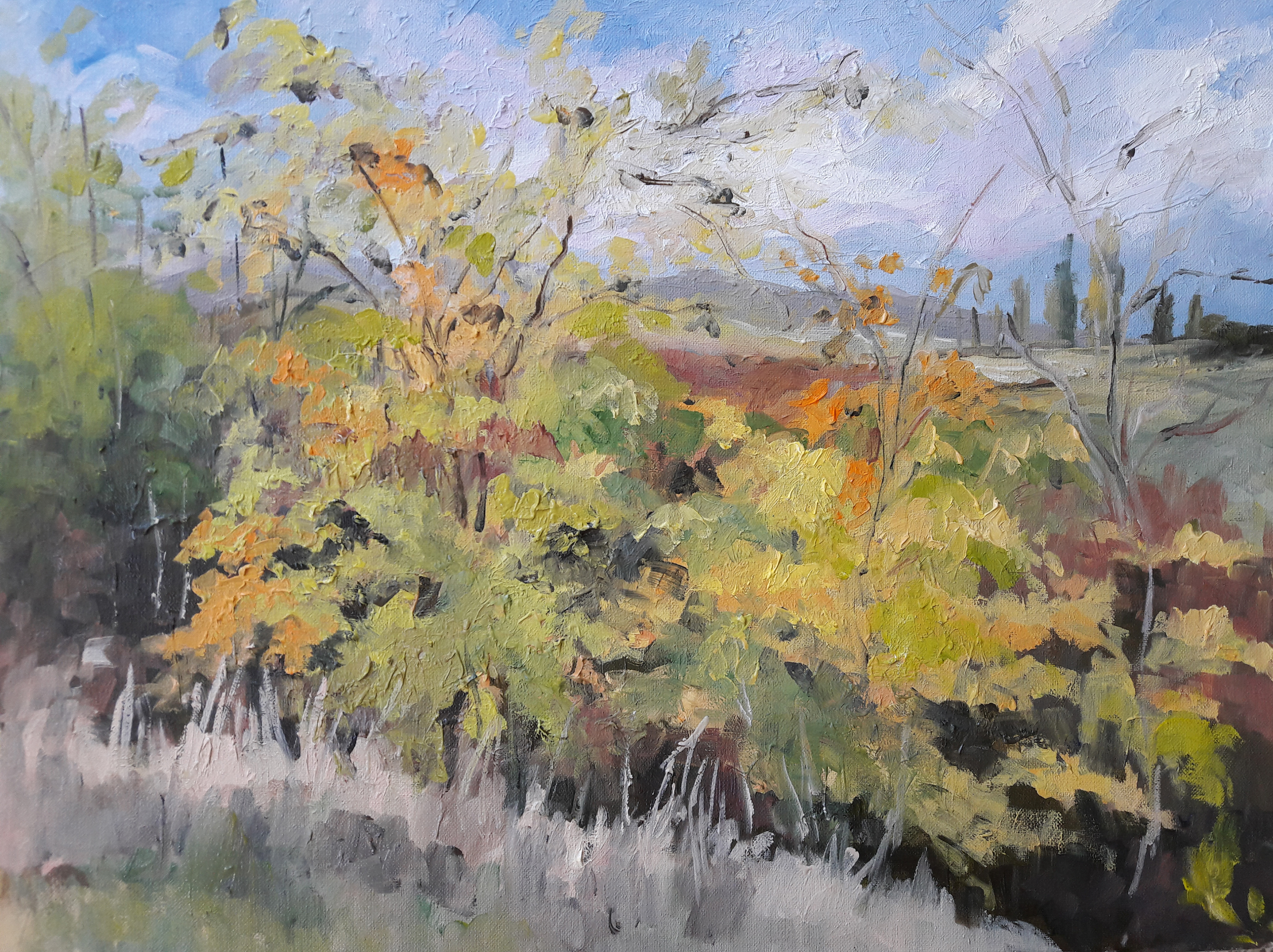 اثر دهکده از مینا قویدل اثر دهکده از مینا قویدل