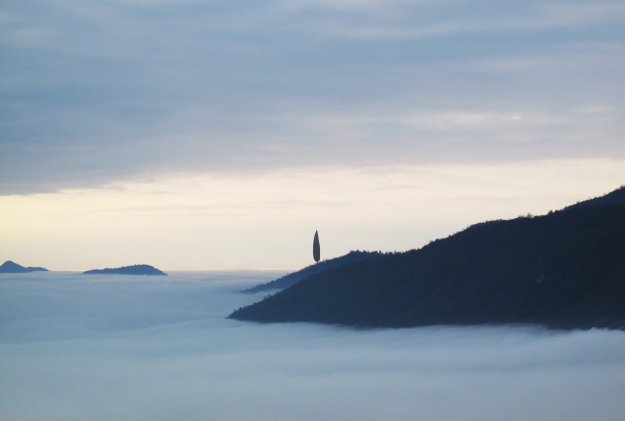 بدون عنوان | | نمایشگاه هنری بدون عنوان | | نمایشگاه هنری