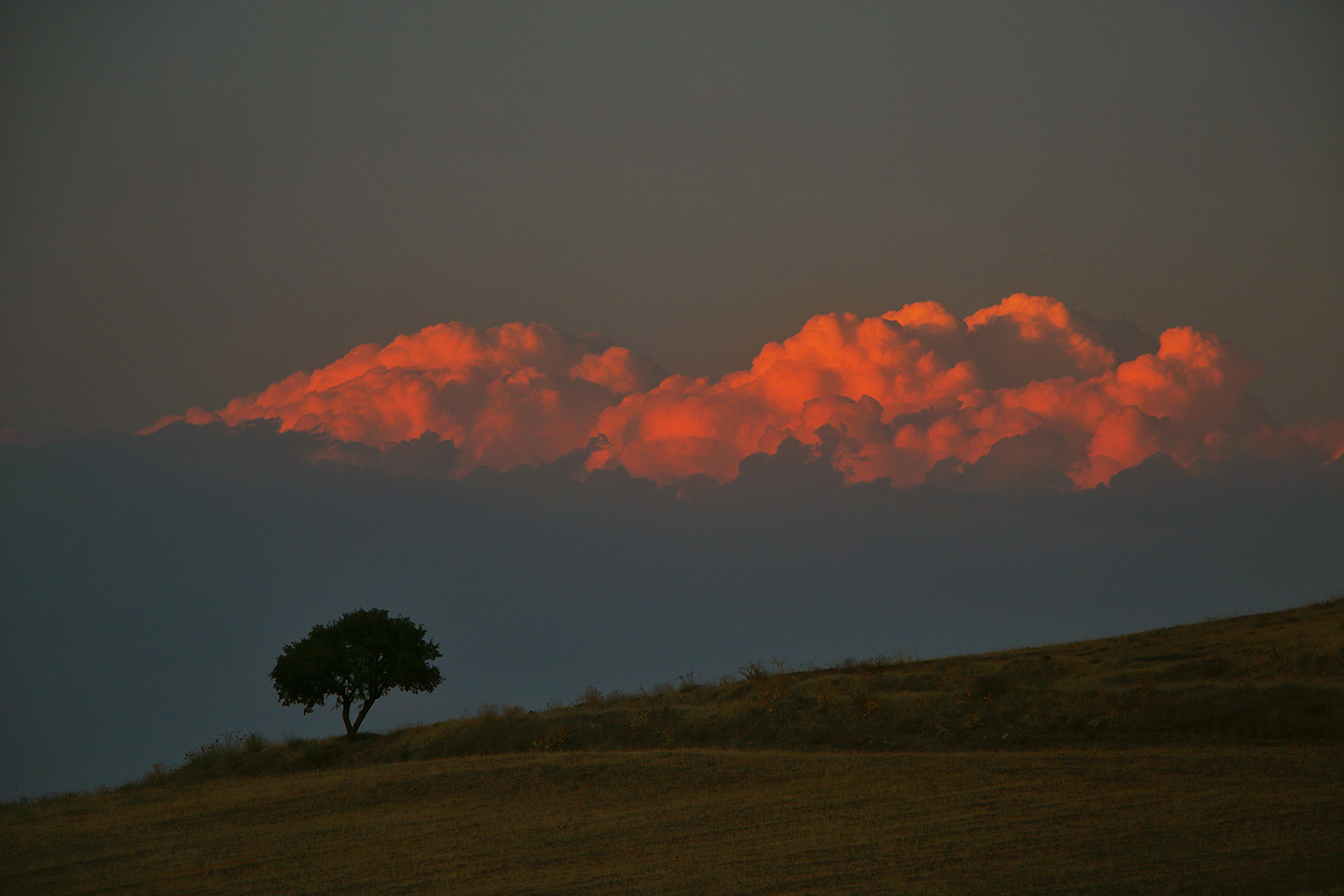 Artwork sunset by abbas rahmani Artwork sunset by abbas rahmani