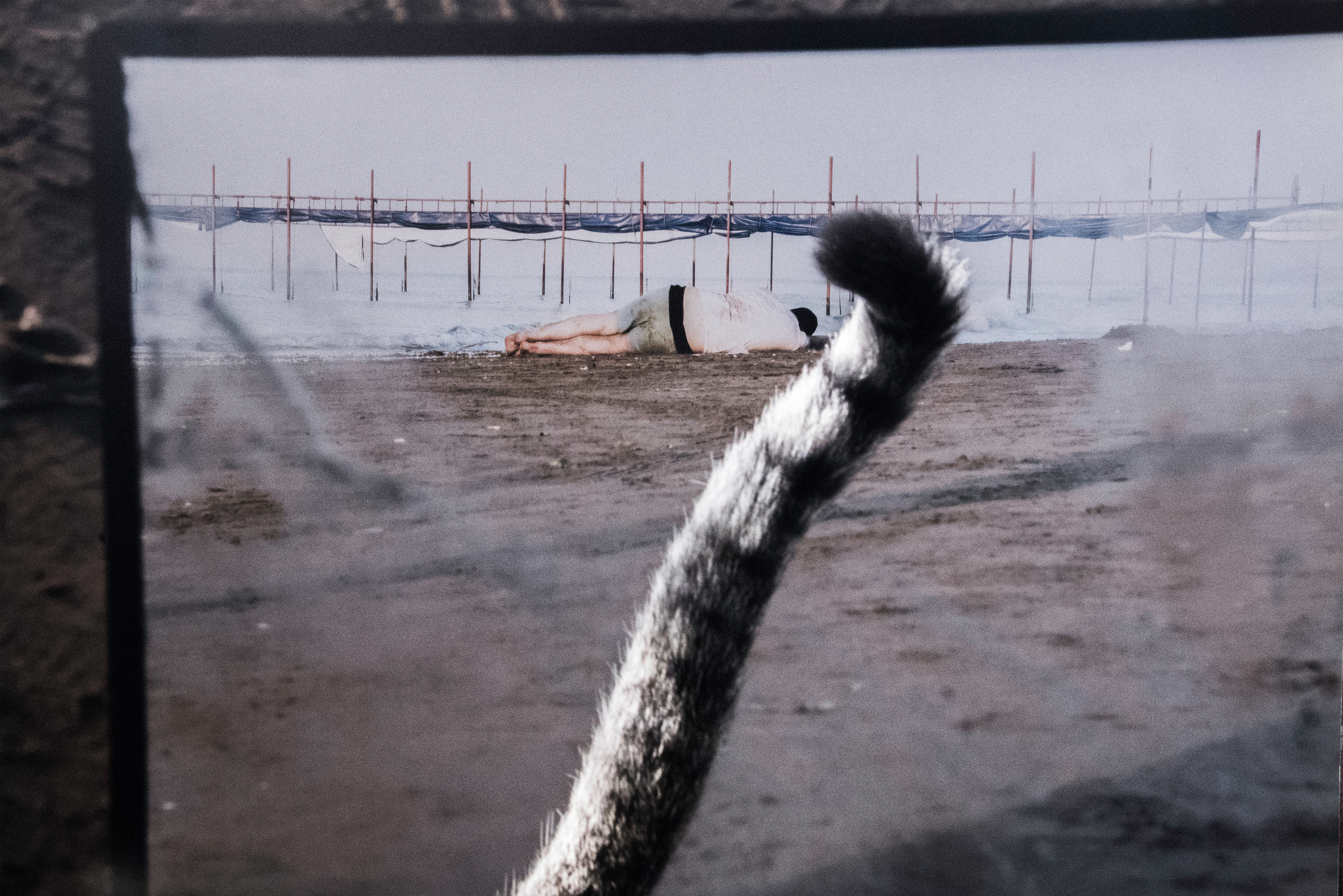 اثر ویترین از حنا طرخان اثر ویترین از حنا طرخان