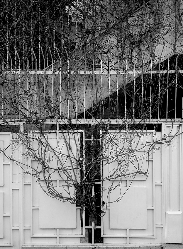 Artwork Hoofar Haghigh-06 by Hoofar Haghighi Artwork Hoofar Haghigh-06 by Hoofar Haghighi