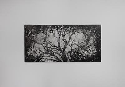 اثر بدون عنوان از فاطمه اسلامیان اثر بدون عنوان از فاطمه اسلامیان