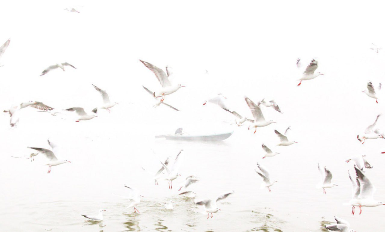 اثر بدون عنوان از علی قلم سیاه اثر بدون عنوان از علی قلم سیاه