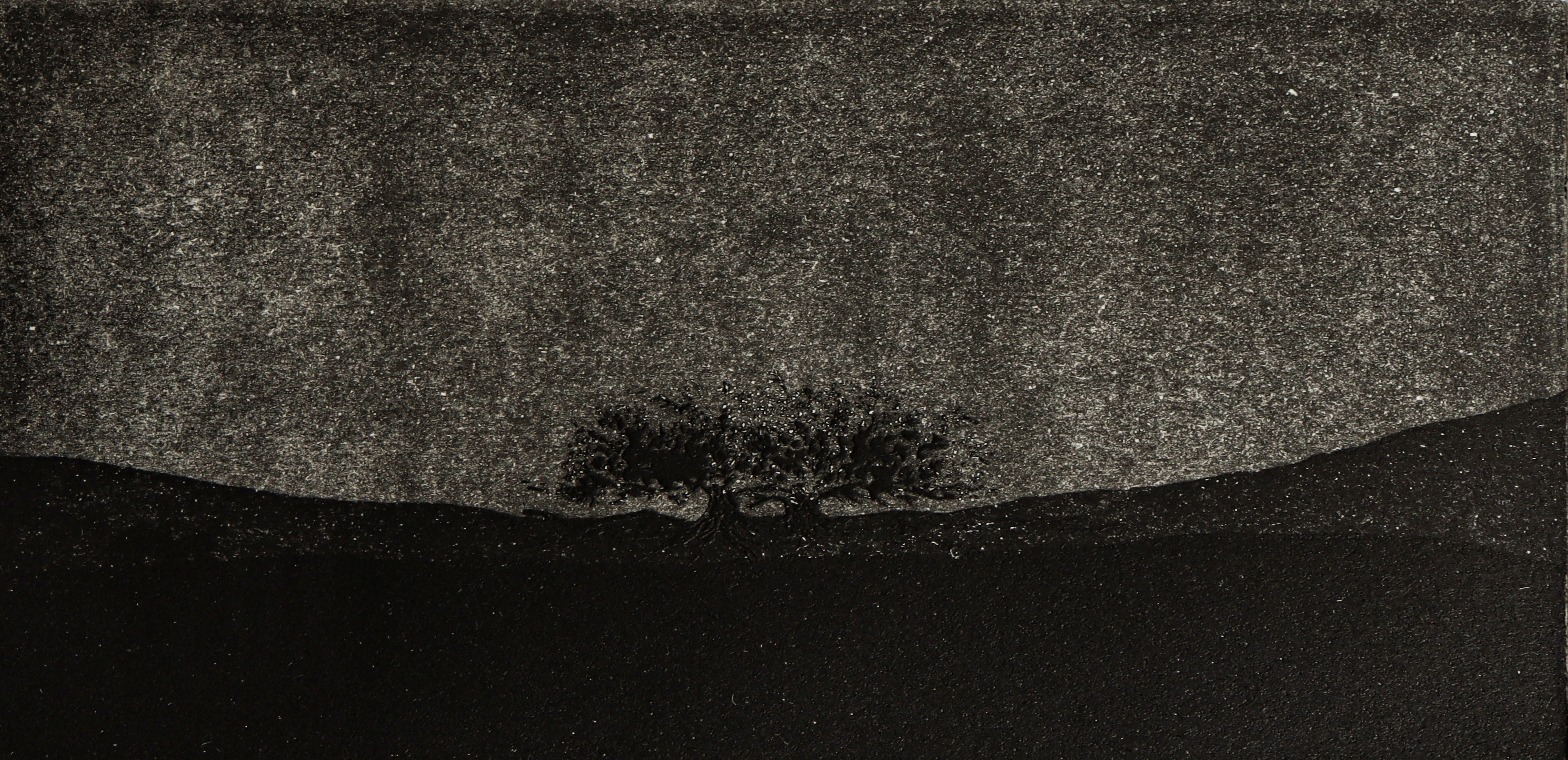 Artwork black eyes by Elham Radfar Artwork black eyes by Elham Radfar