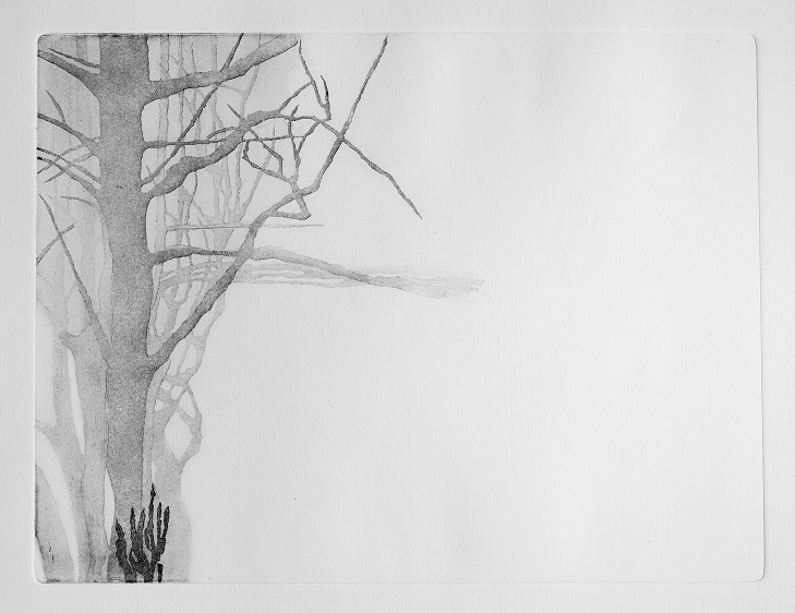 Artwork Garden of Silence 11 by Shokoufeh Fallah Artwork Garden of Silence 11 by Shokoufeh Fallah