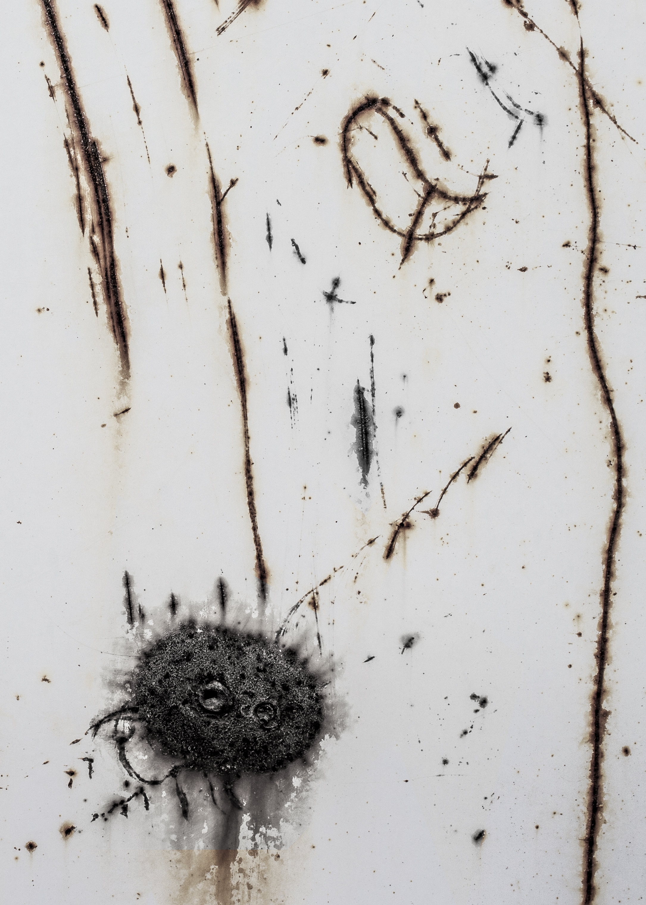 Artwork Short flight by Abed Mirmasoumi Artwork Short flight by Abed Mirmasoumi