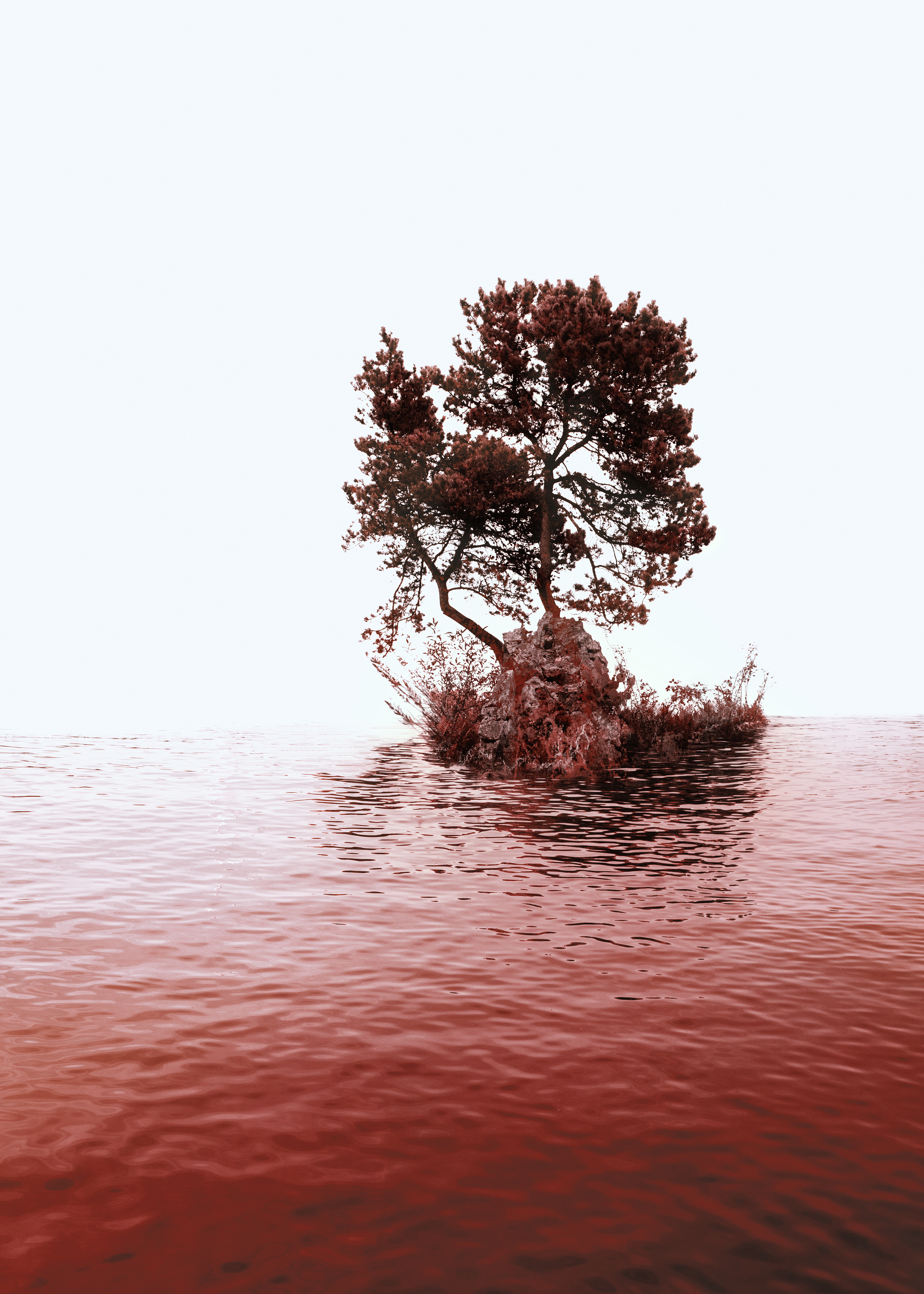 Artwork Liberty tree by Katrin Nazari Artwork Liberty tree by Katrin Nazari