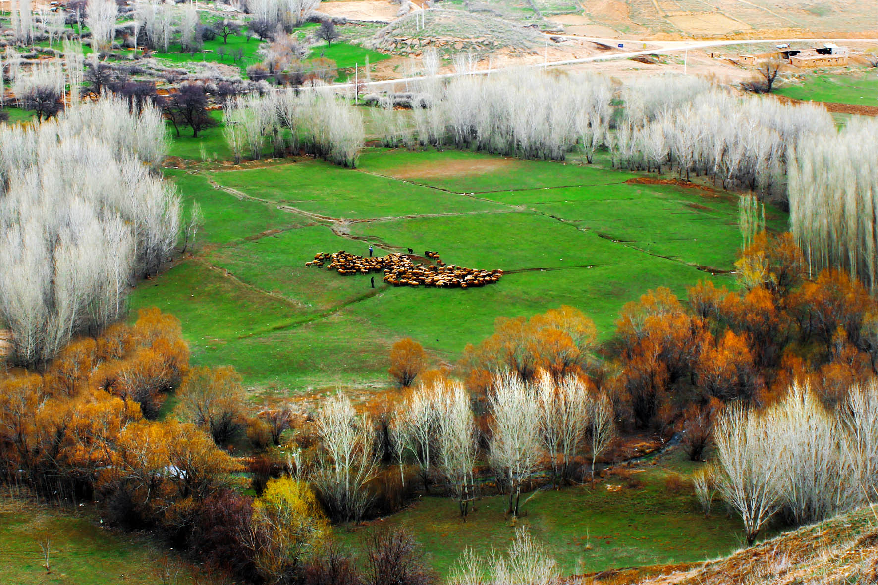 Artwork Frame in frame by Mehrdad Fathi Artwork Frame in frame by Mehrdad Fathi