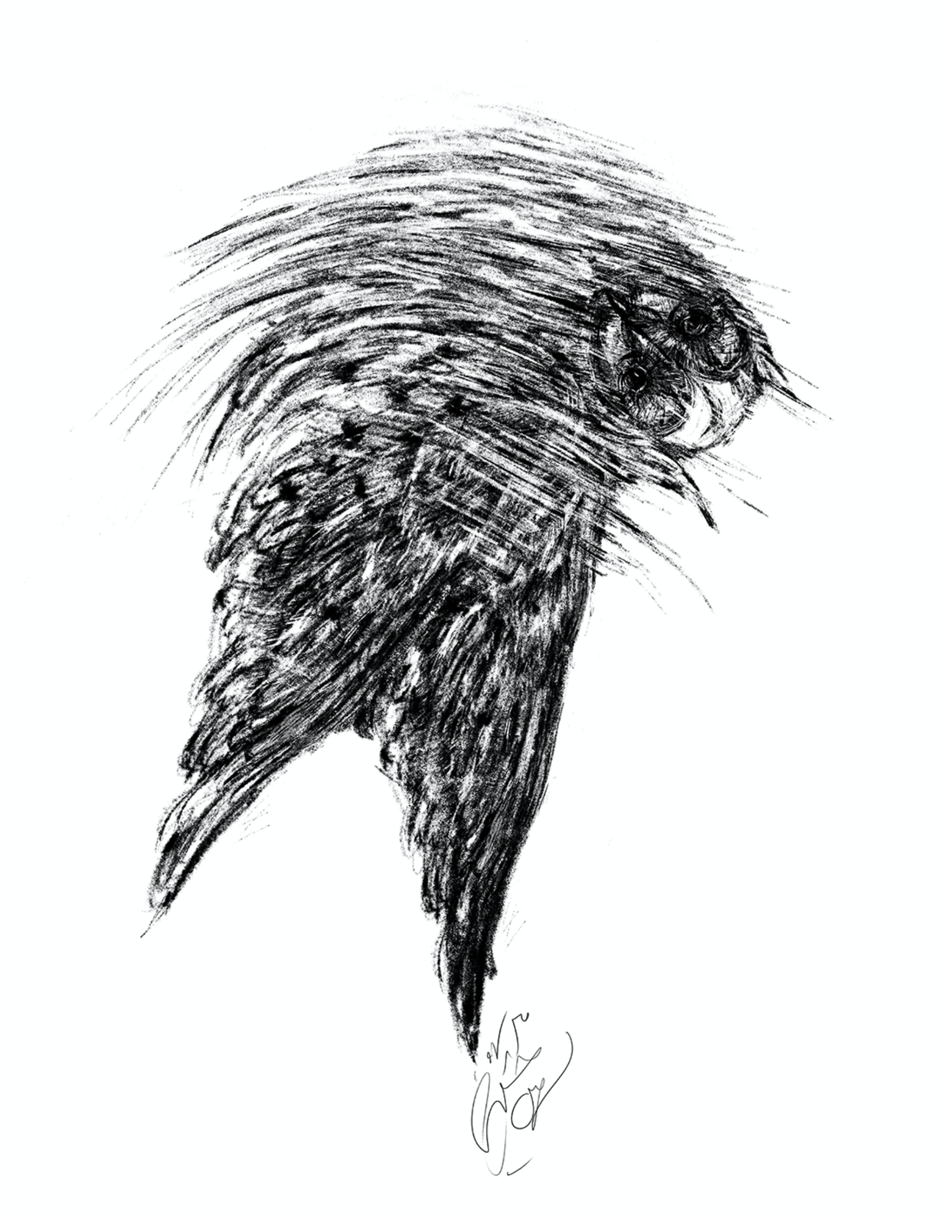 Artwork owl Land 01 by Soheil Hosseini Artwork owl Land 01 by Soheil Hosseini