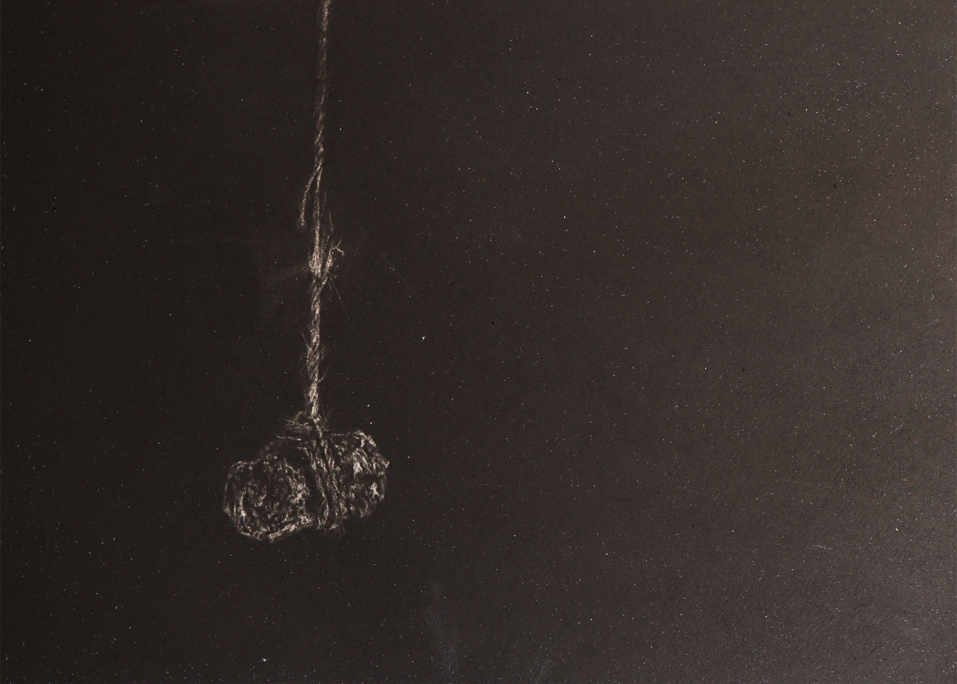 Artwork freedom by Elham Radfar Artwork freedom by Elham Radfar