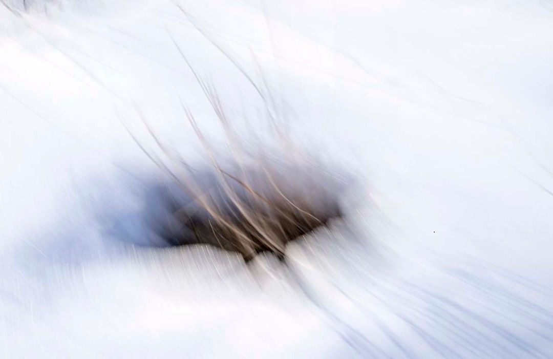 Artwork White by Saeid Mahmoudi Aznaveh Artwork White by Saeid Mahmoudi Aznaveh