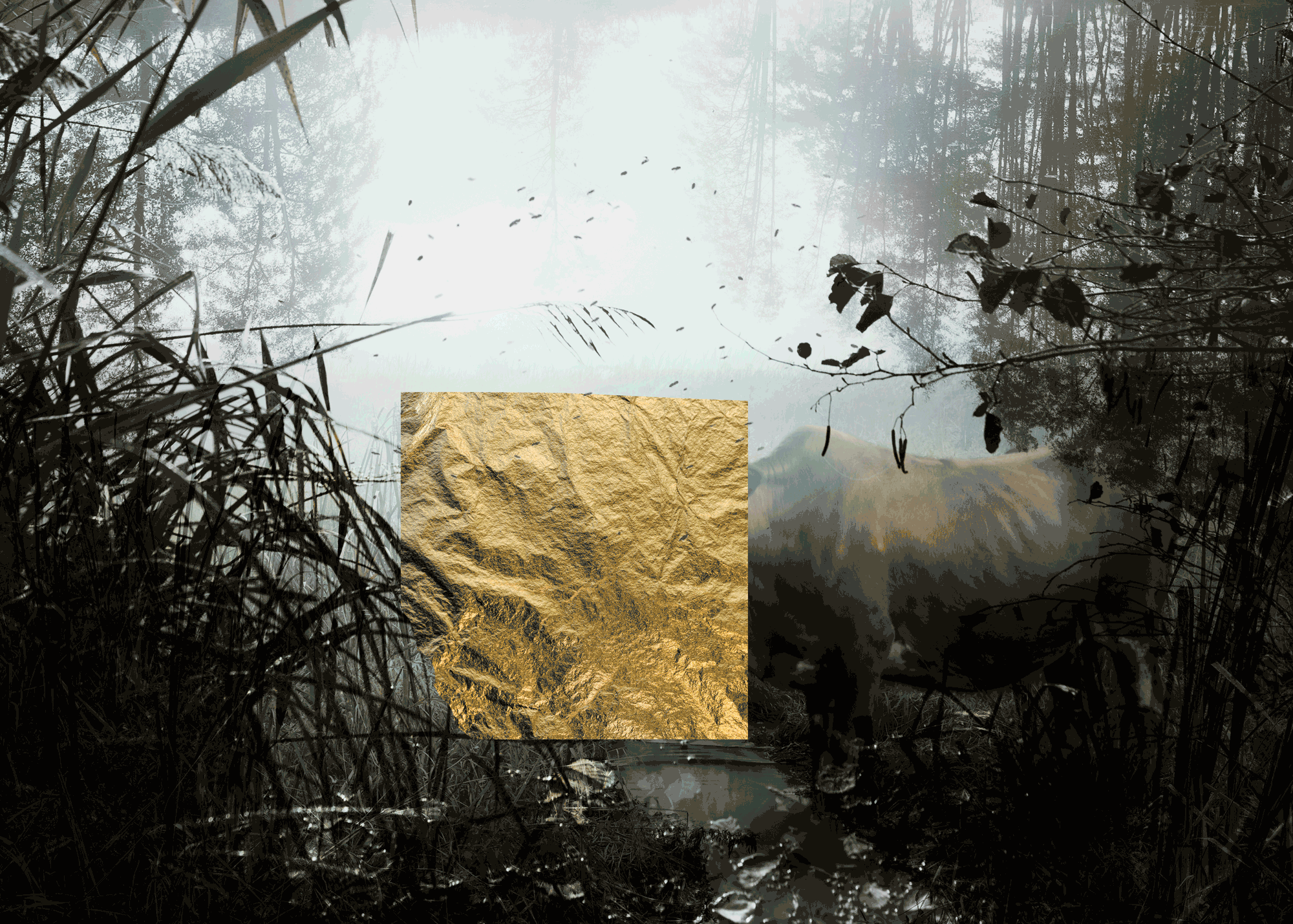 Artwork Voices of the mind by Katrin Nazari Artwork Voices of the mind by Katrin Nazari