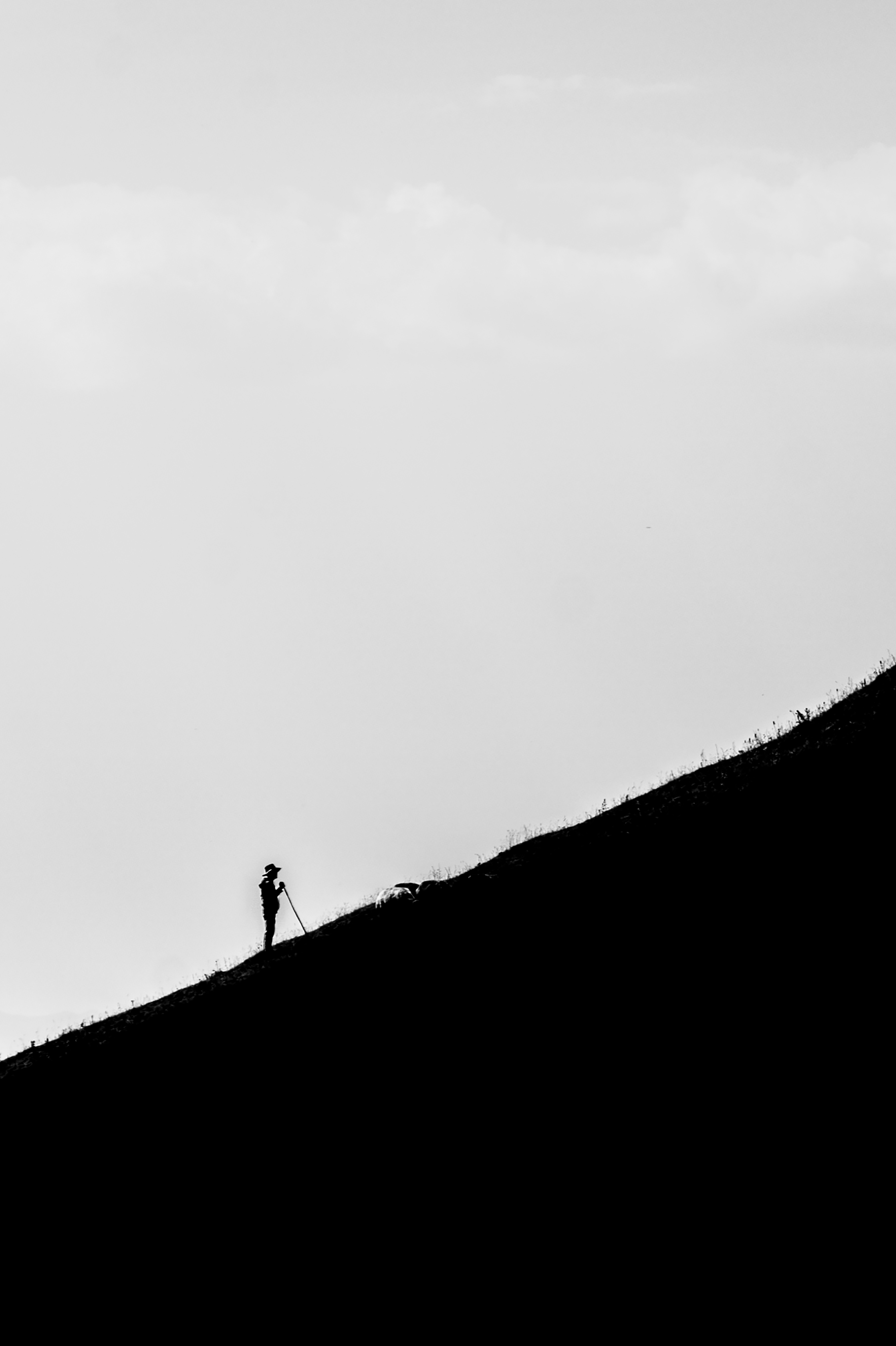 اثر صعود از عبدالرحمن مجرد اثر صعود از عبدالرحمن مجرد