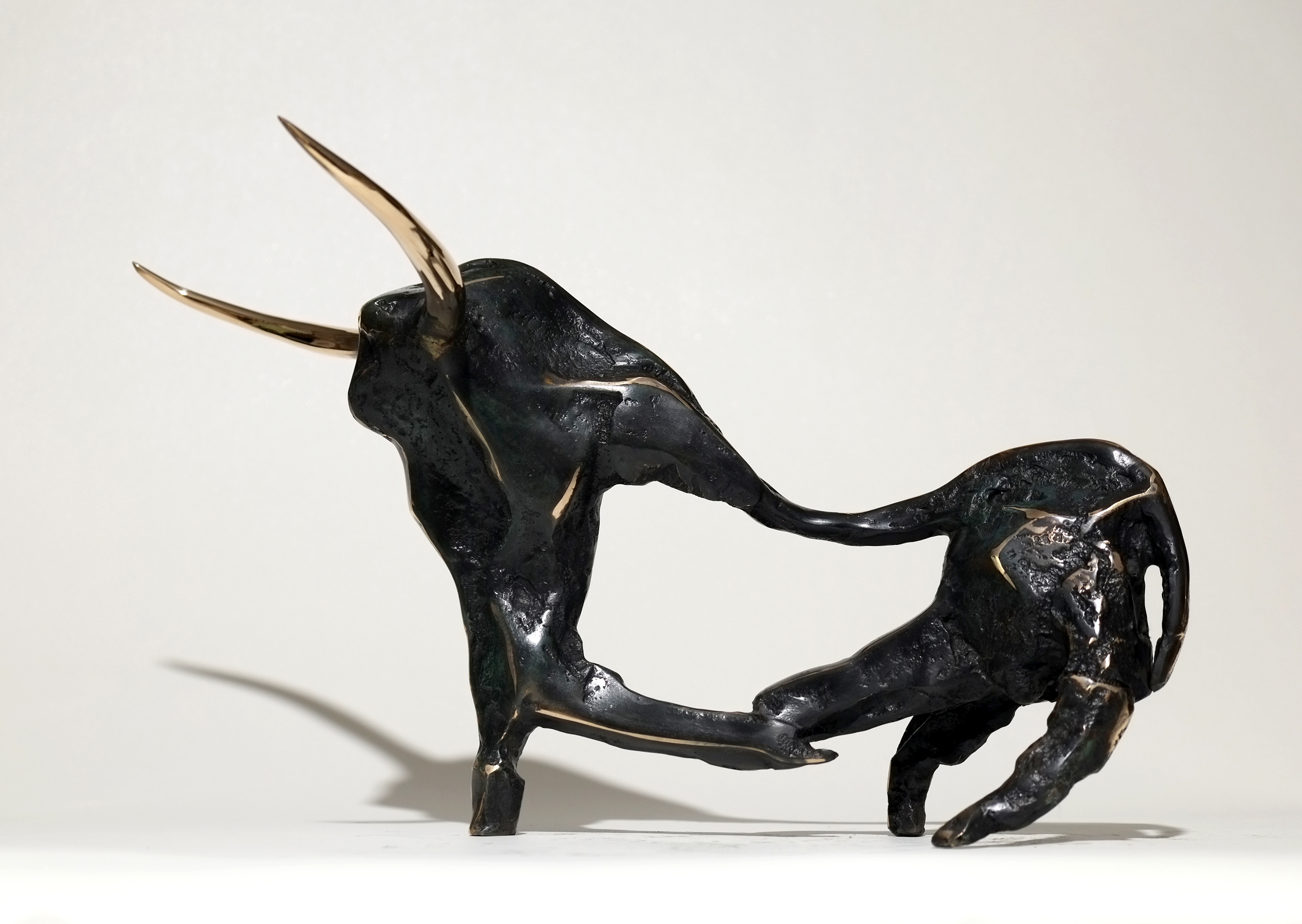 Artwork bullfighting by Amin Aghaei Artwork bullfighting by Amin Aghaei